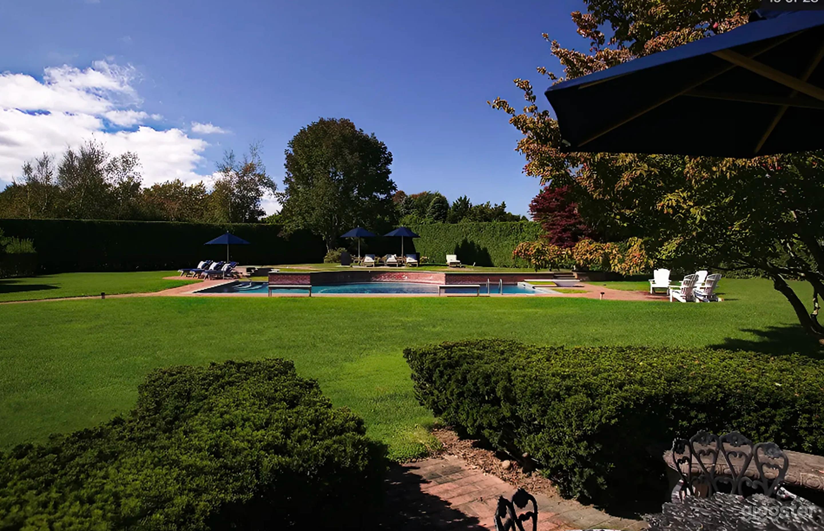 Luxury Custom-Shaped Pool Photo 1