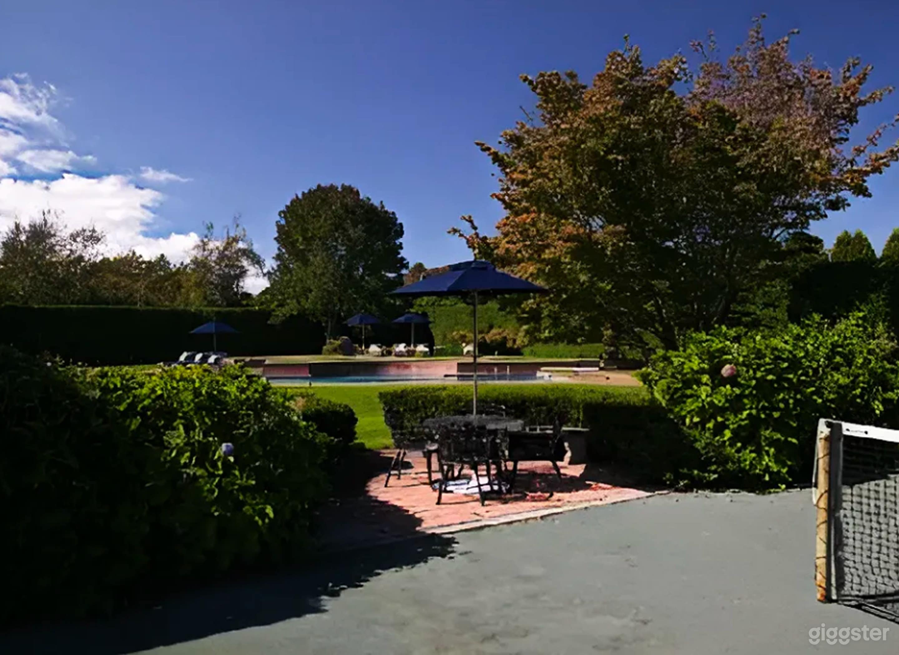 Luxury Custom-Shaped Pool Photo 4