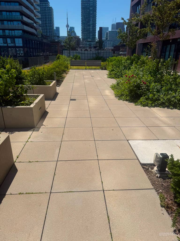  Terraza Jardín Curada 