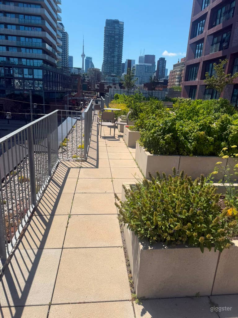  Terraza Jardín Curada 