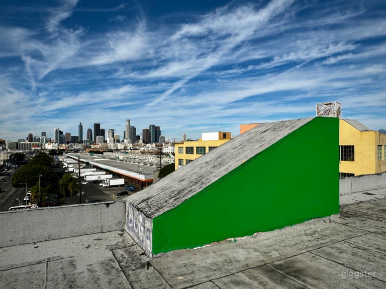  Private Rooftop w/ Uninterrupted Skyline Views 