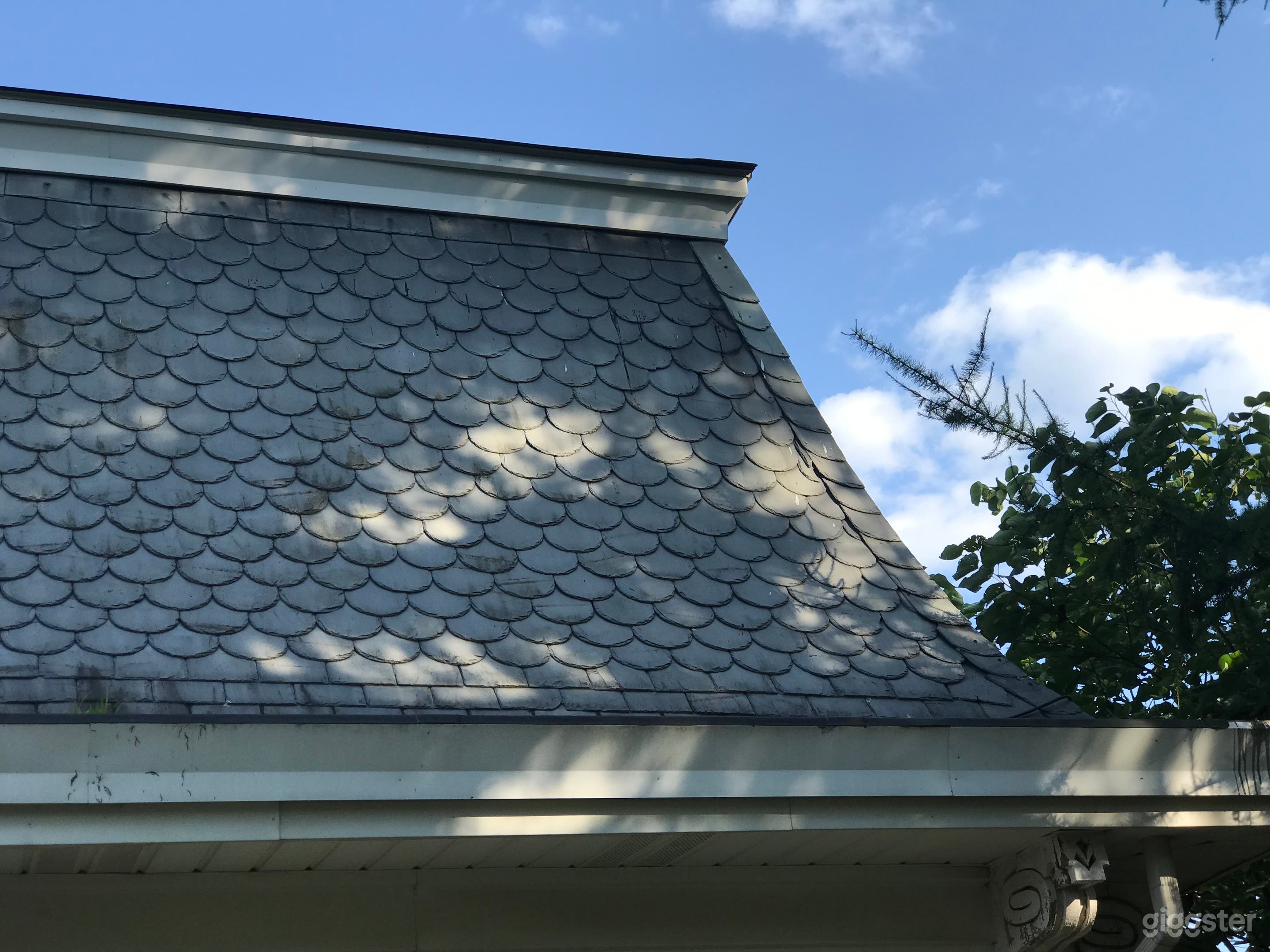 Unique1878 Victorian home with pool and sauna Photo 3