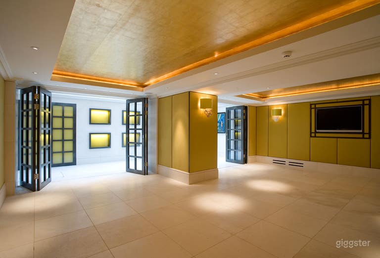  Suite with Gold Leather Wallpaper and Glass Roof in London  