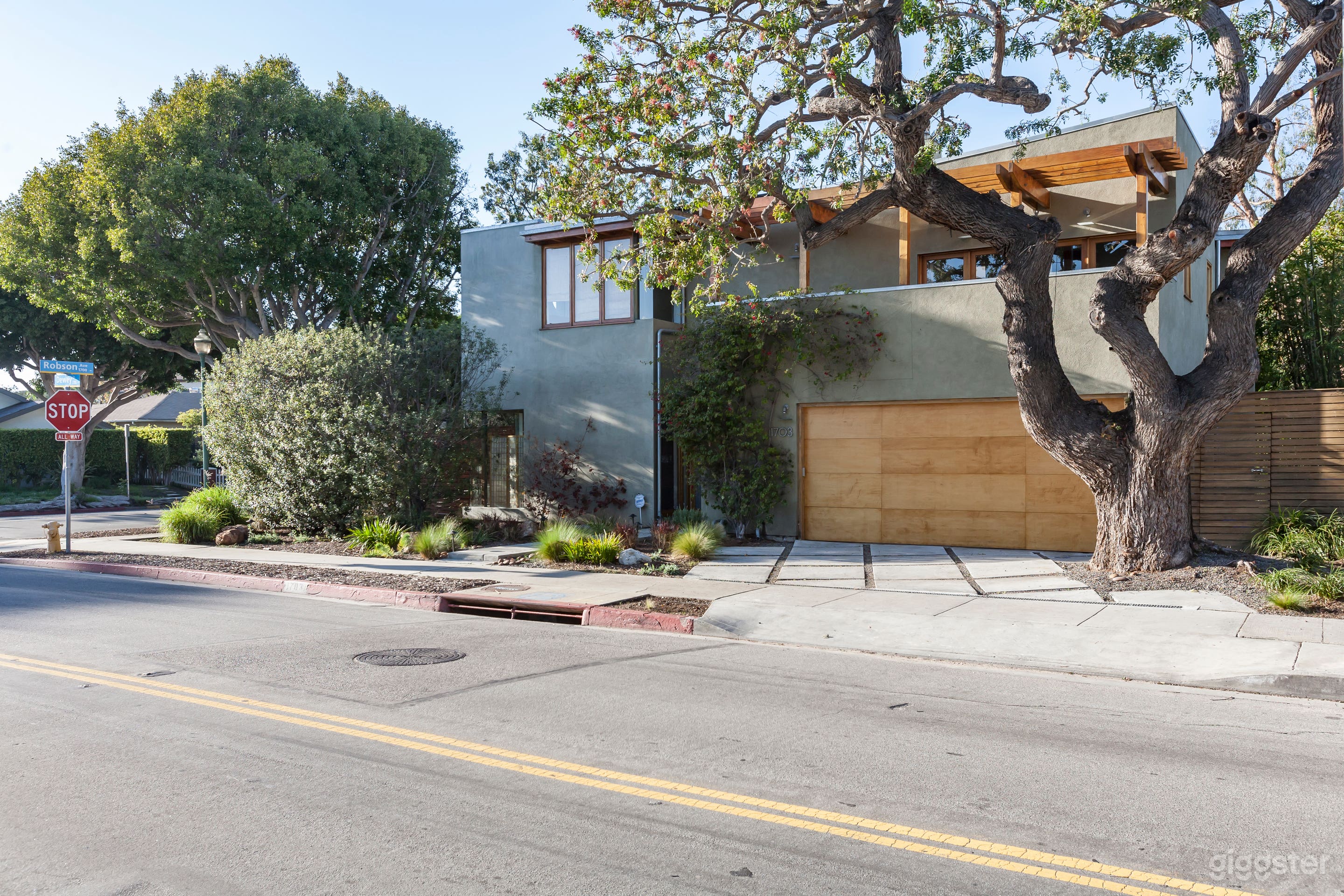 Sunny Shade  Photo 2