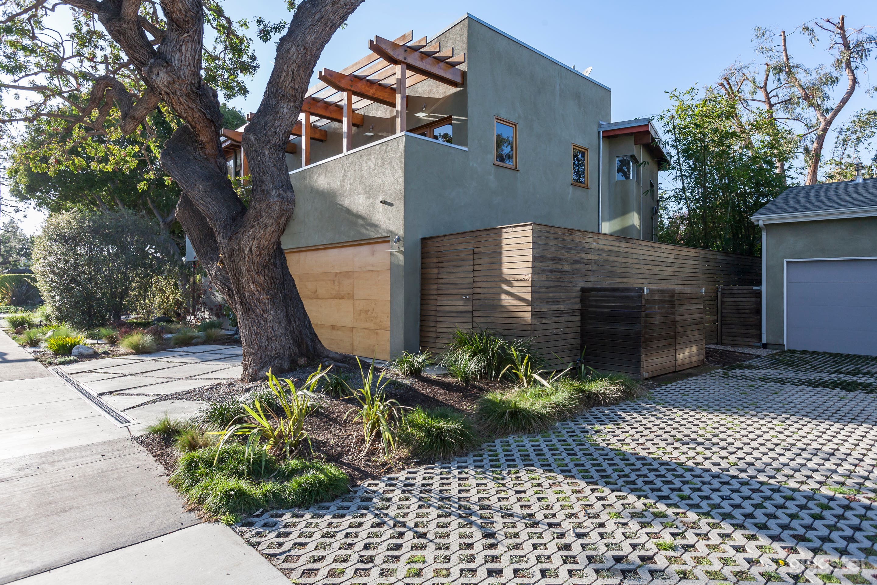 Sunny Shade  Photo 1