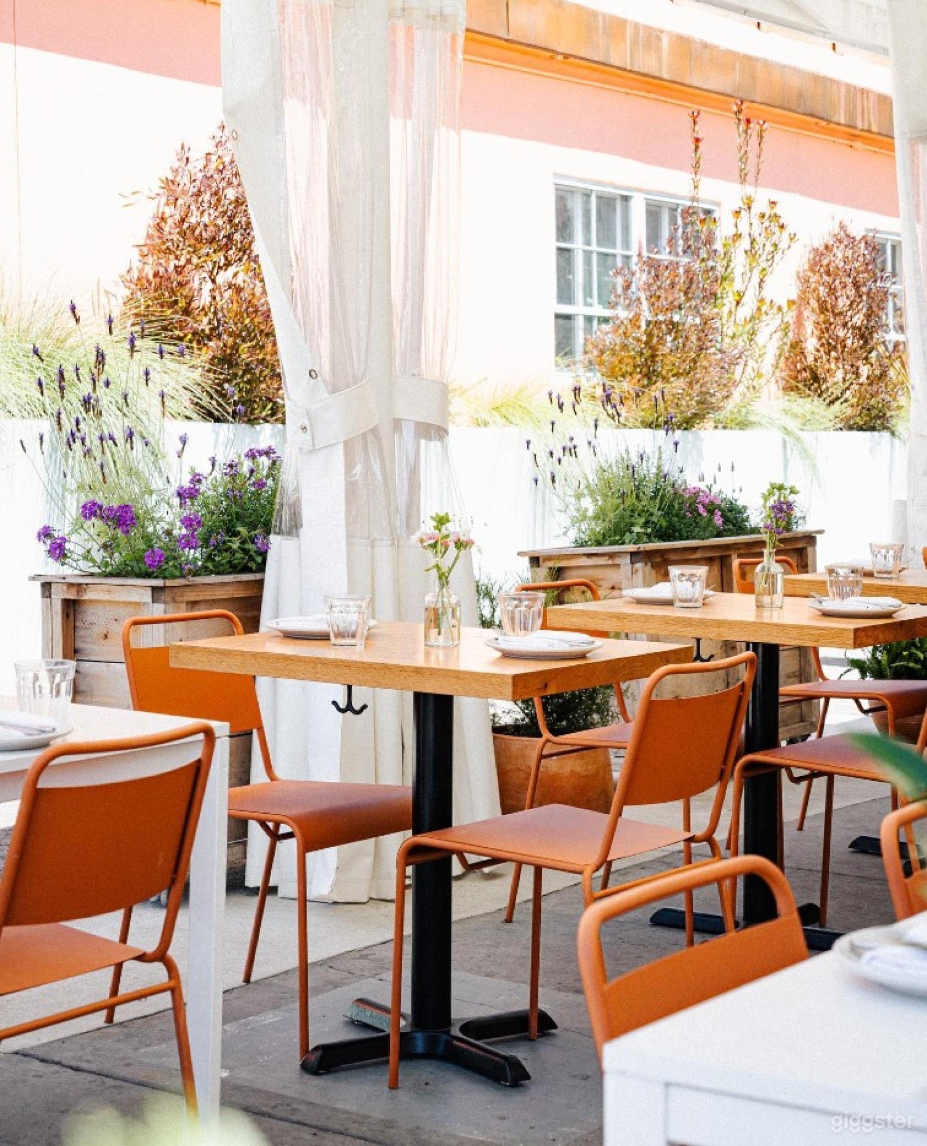 Beautiful Side Patio  Photo 2