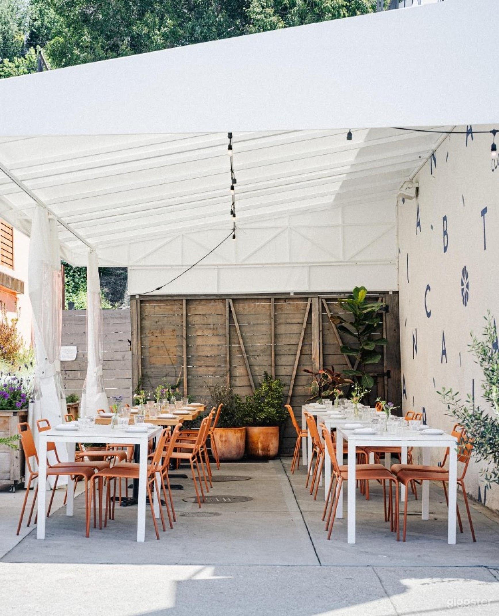 Beautiful Side Patio  Photo 4