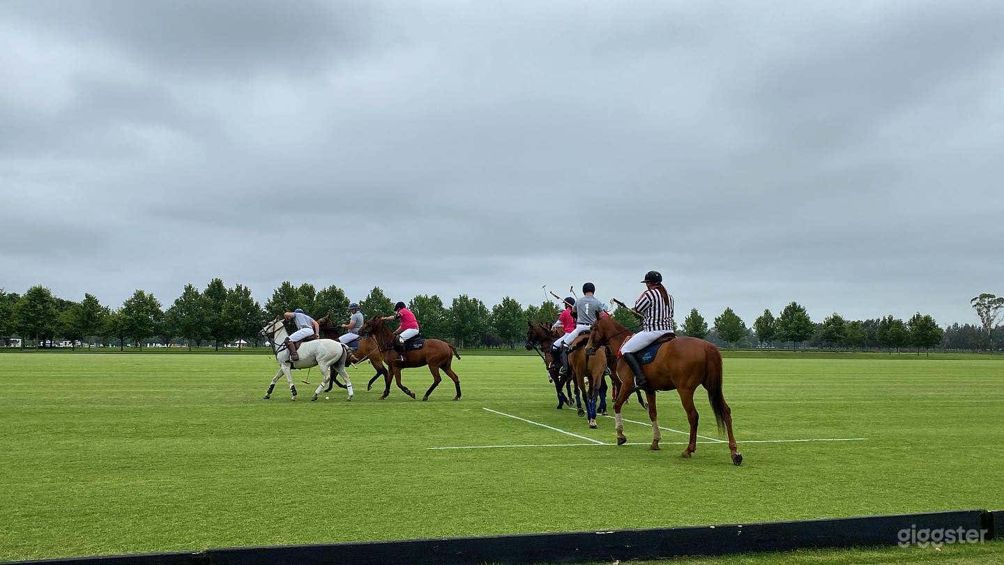 Equestrian Field Photo 4