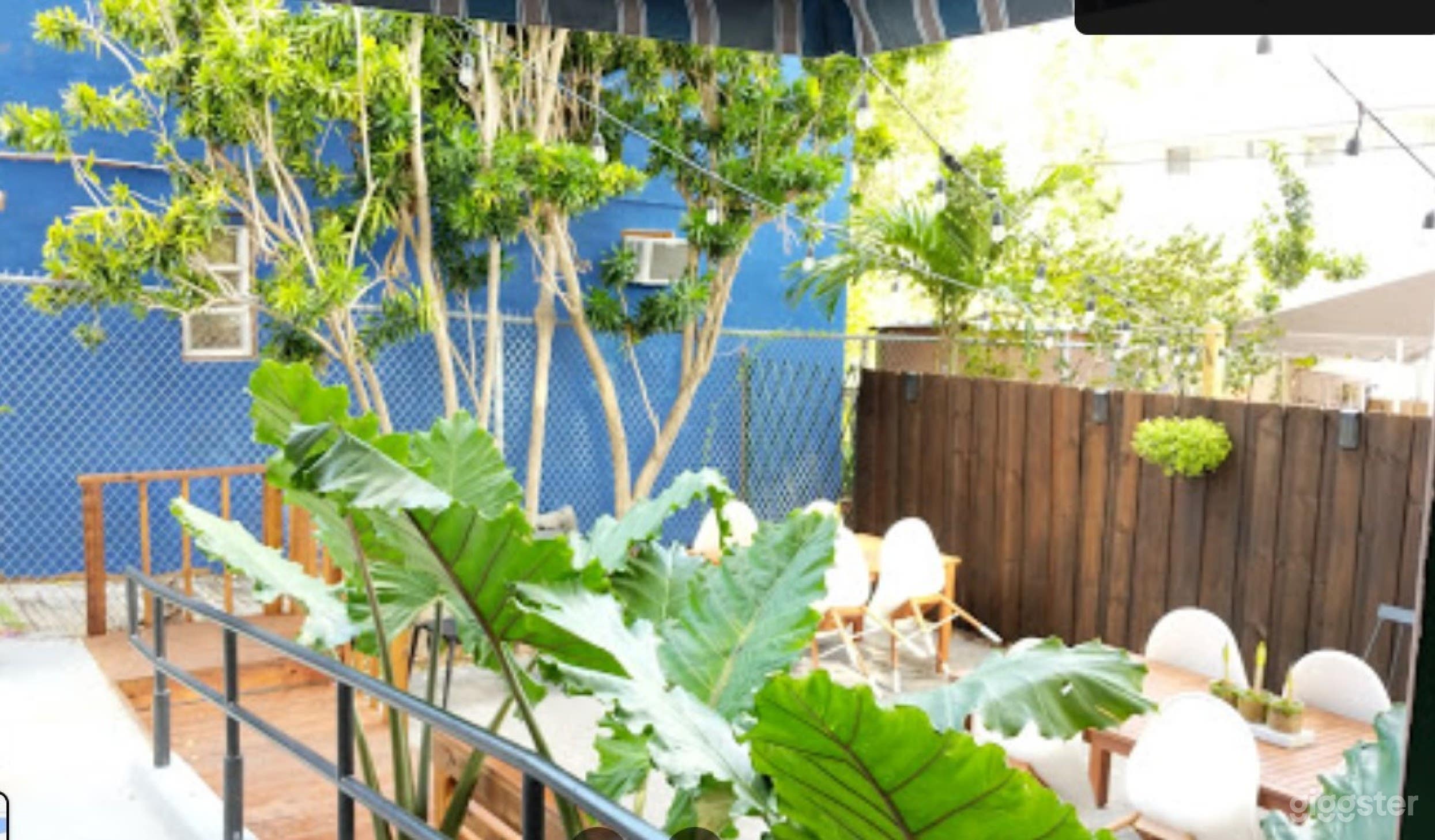 Ideal Outdoor Space (Full Buy Out) Photo 1