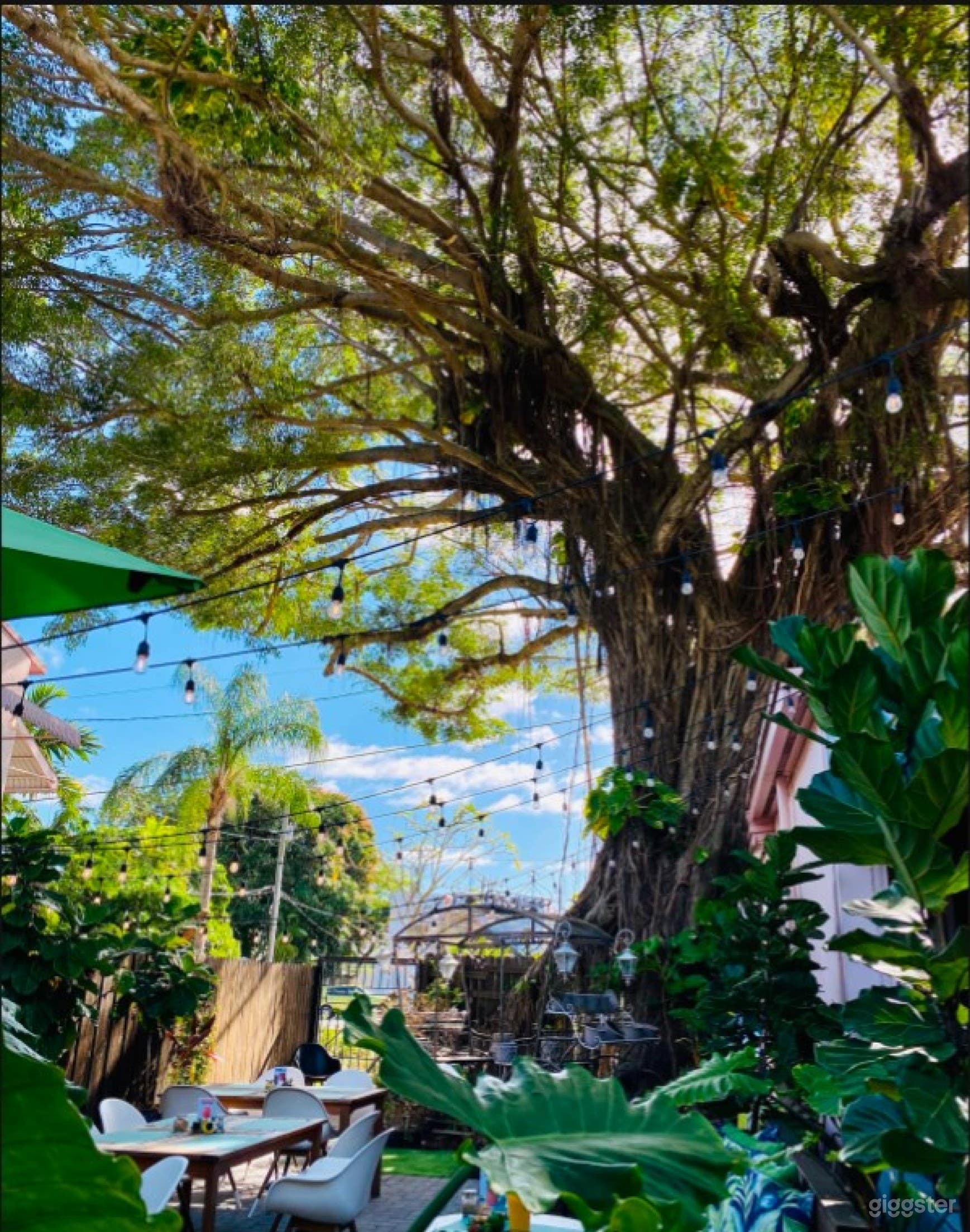 Ideal Outdoor Space (Full Buy Out) Photo 3