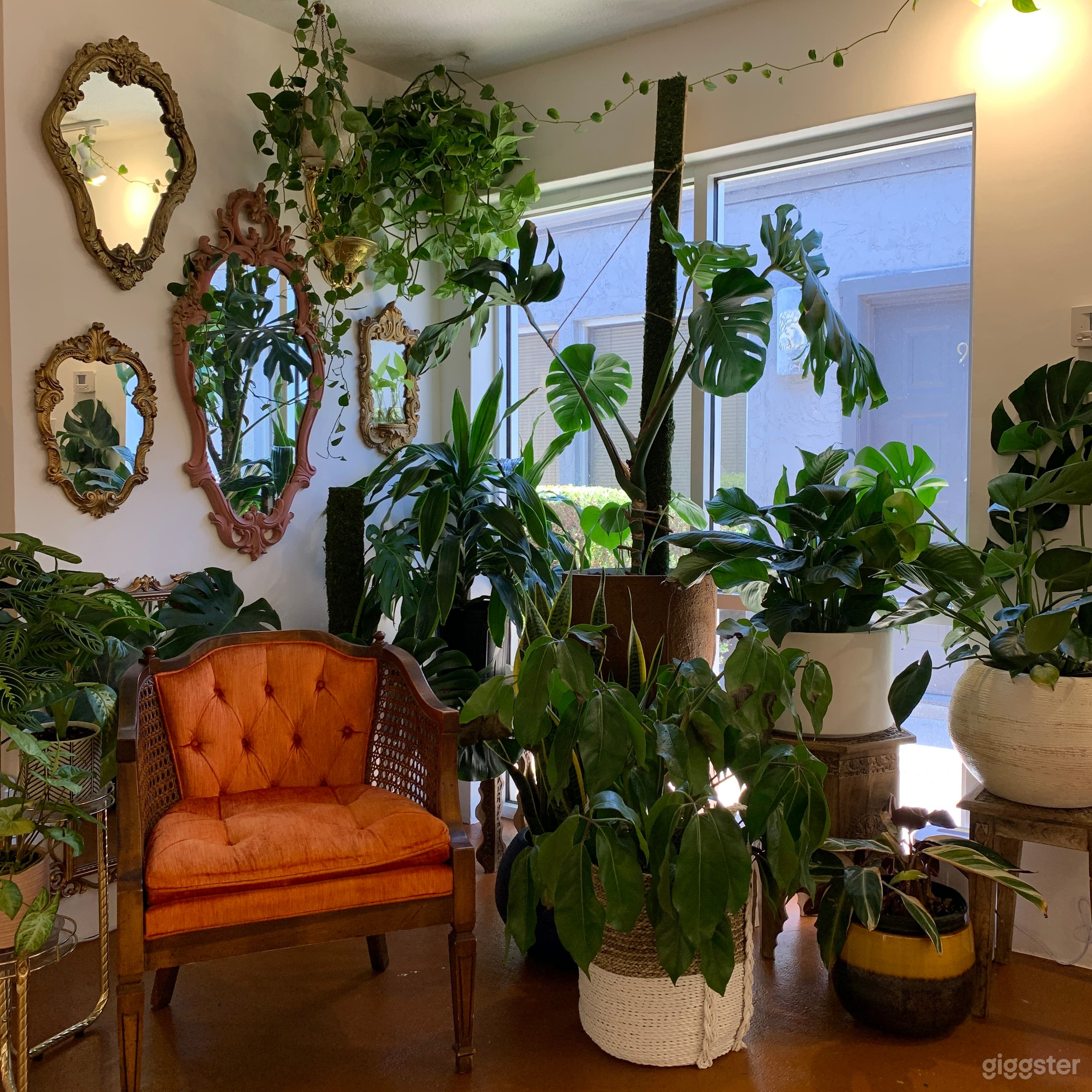 The Boho Space Photo 1