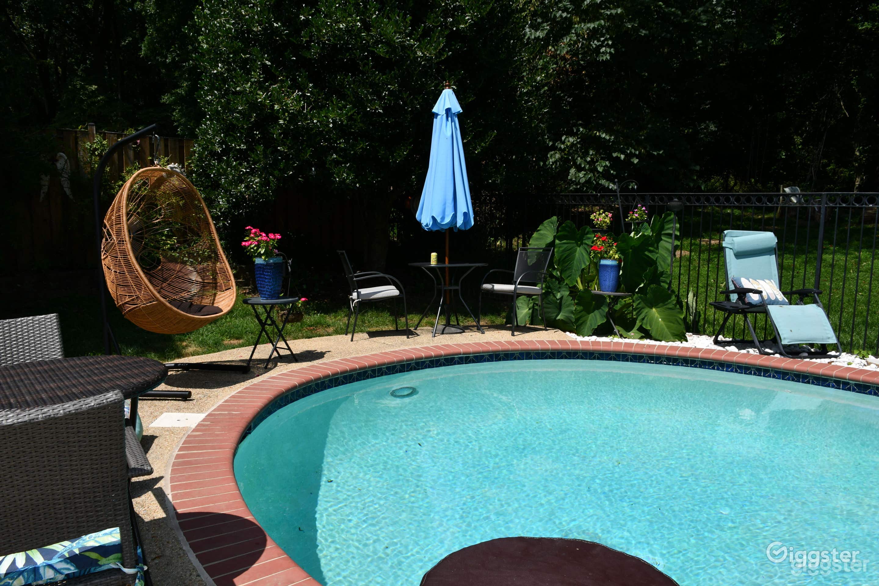 Contemporary Pool in the woods  Photo 2