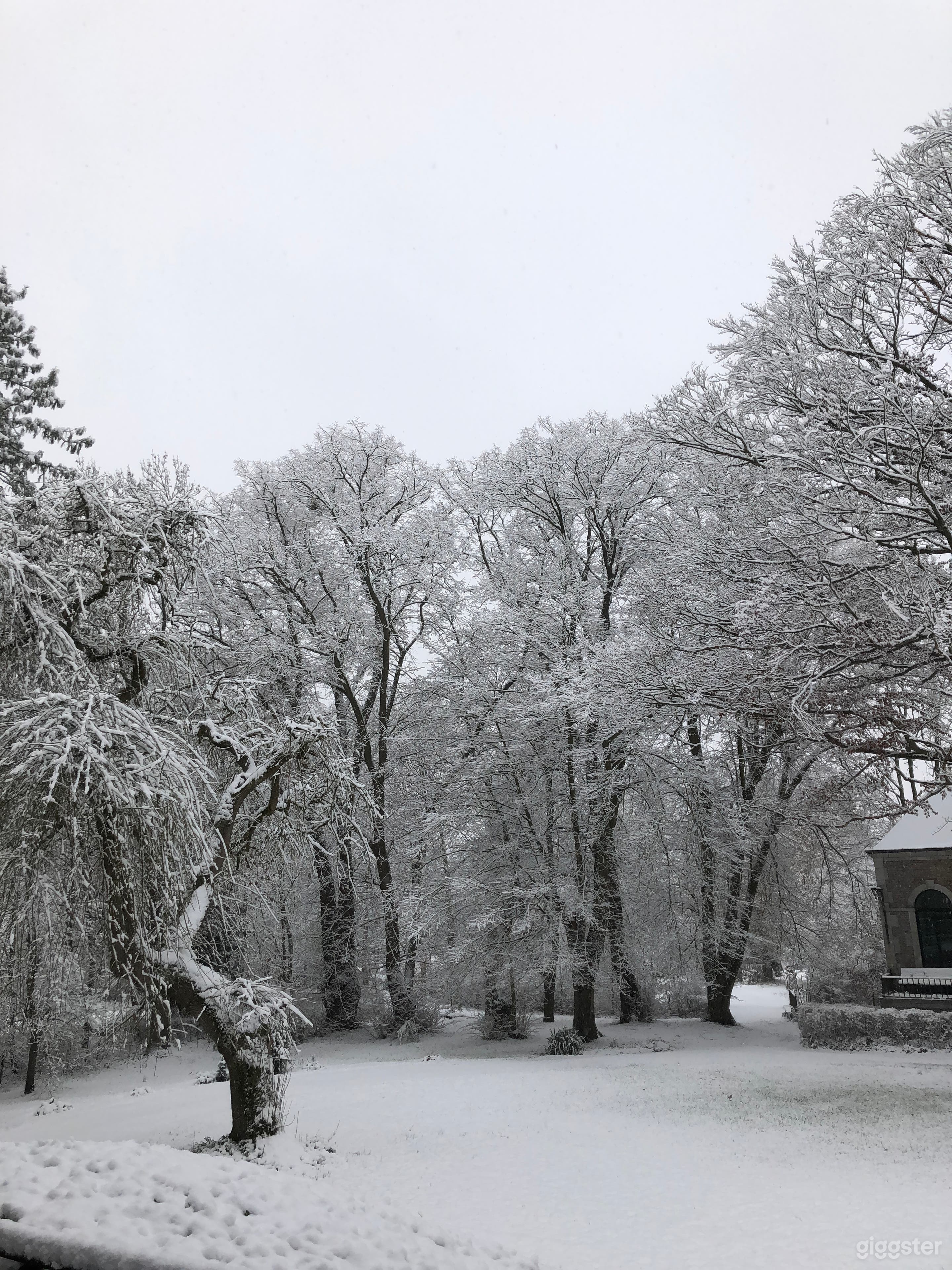 Des arbres centenaires et des espèces de bois rares créant des paysages enneigés dramatiques en hiver