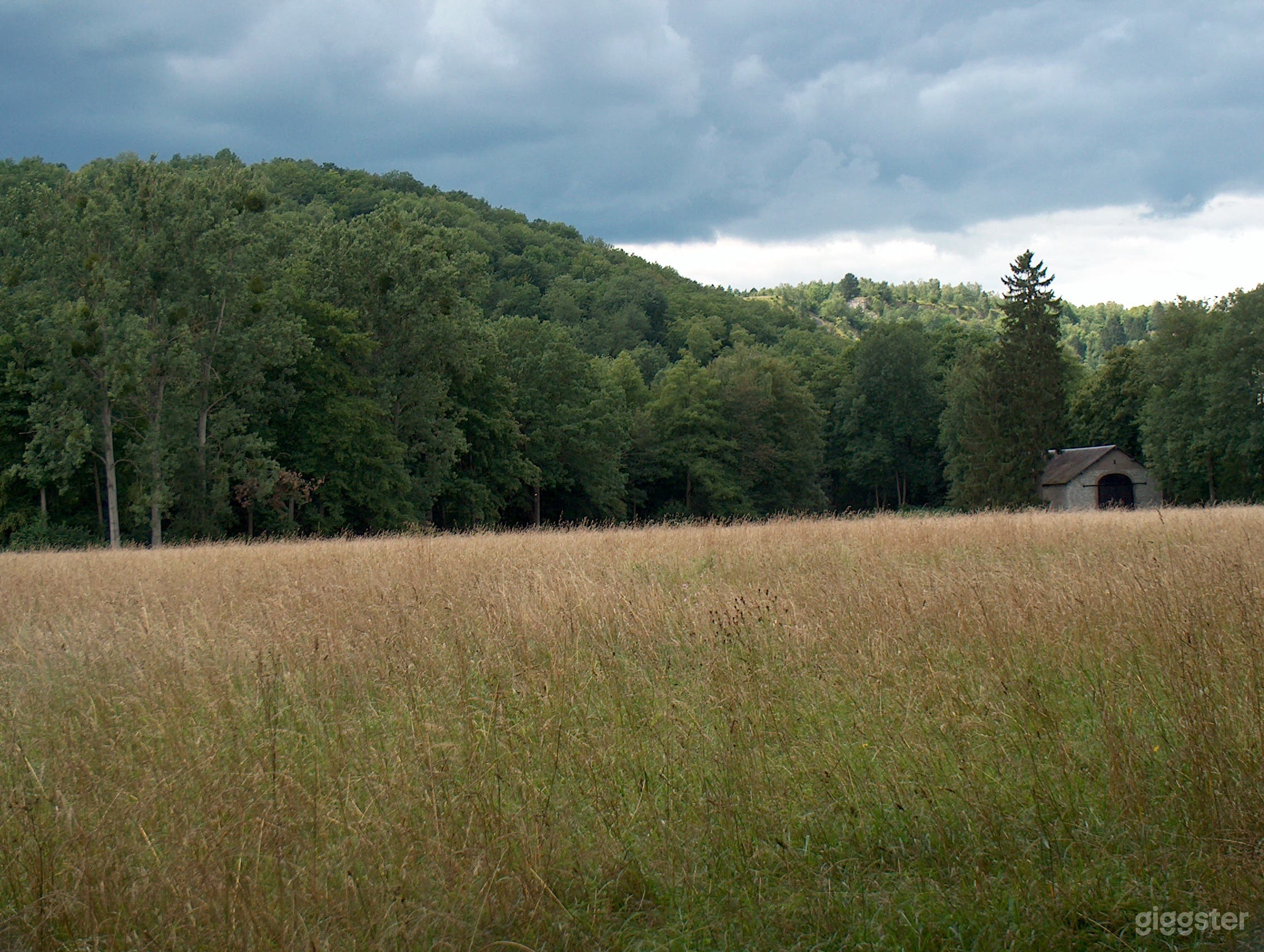 Prairies et bois pour grands lieux.