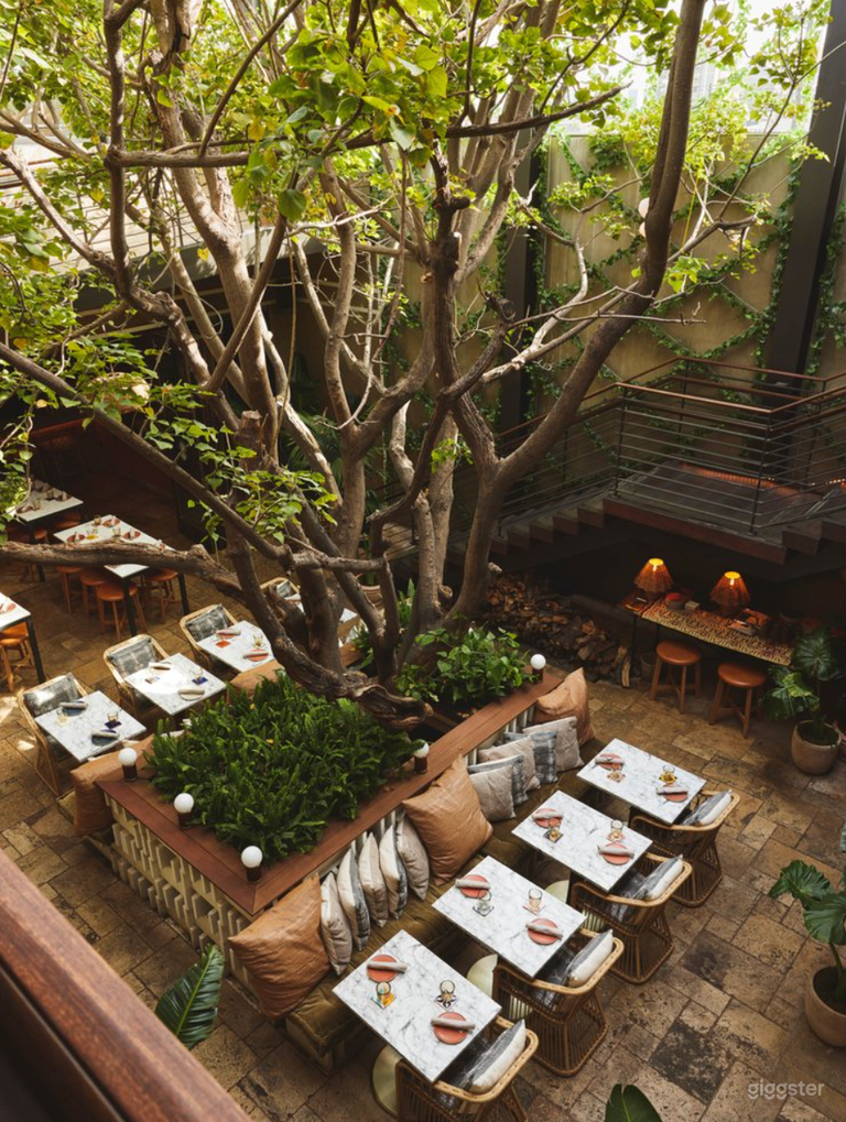  Mexico City–Inspired Garden Oasis with Multiple Bars 