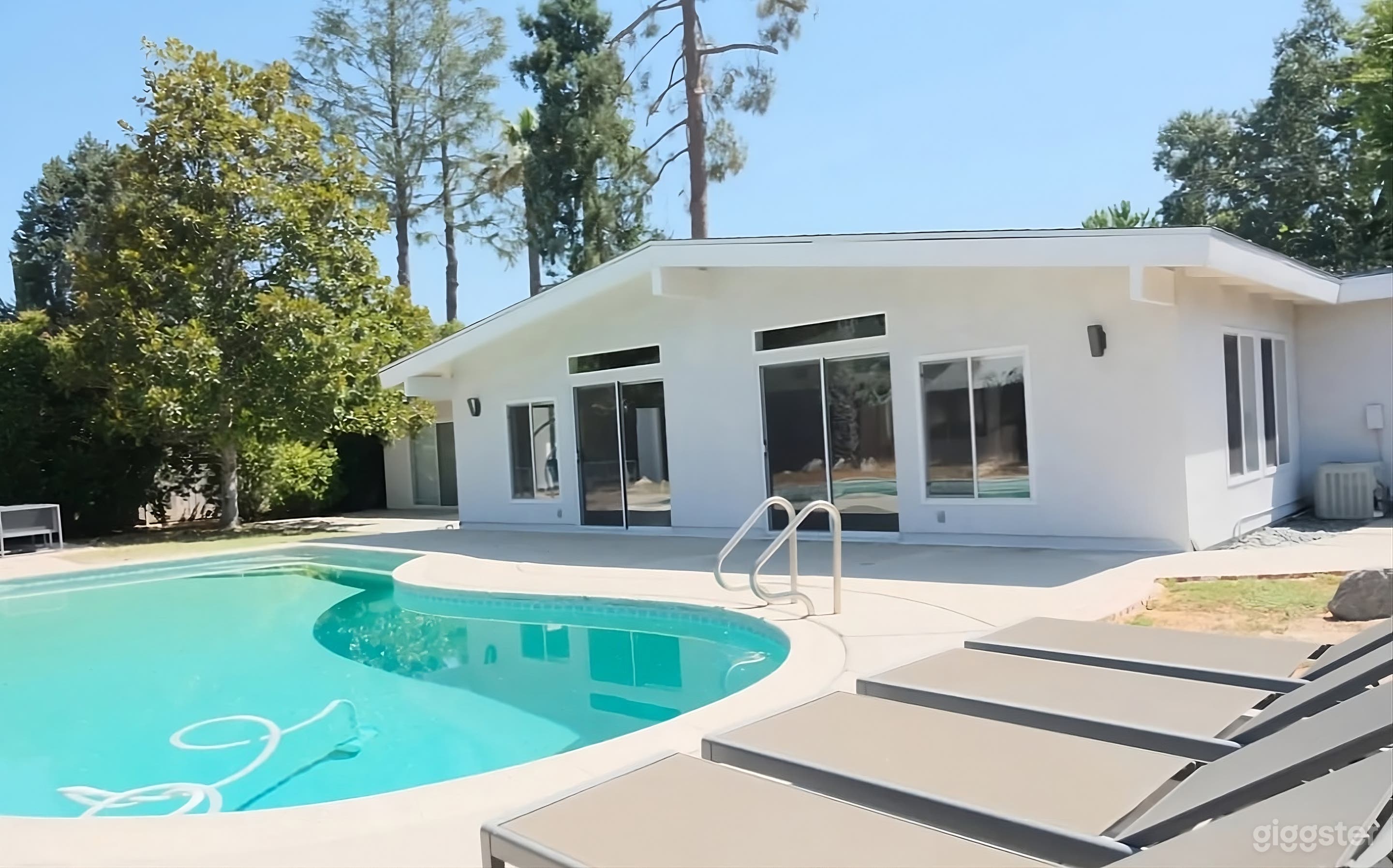 Modern Backyard Oasis with Sparkling Pool Photo 1