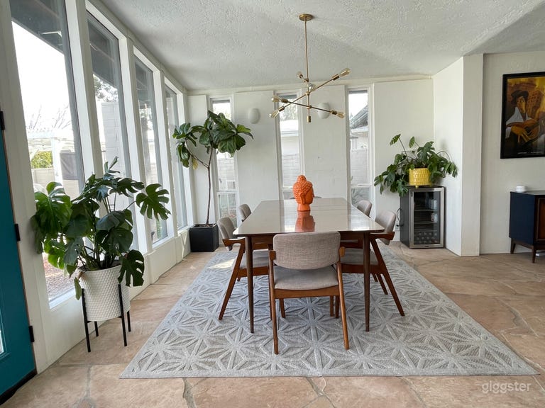  Mid Century Tucson Oasis 