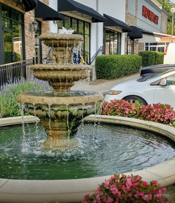 Charming and Green Outdoor Patio Photo 3