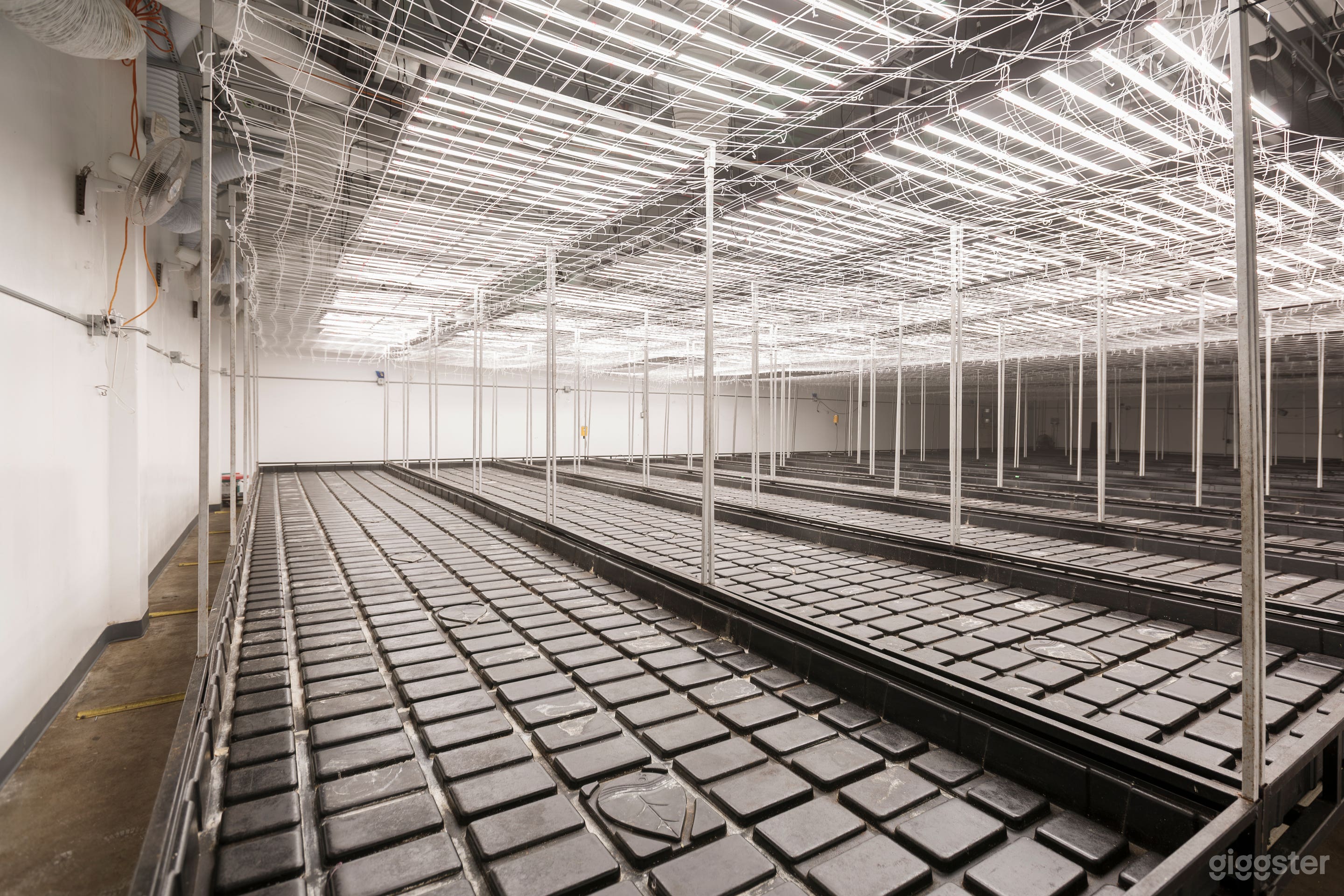 Cannabis Dispensary with offices  Photo 2