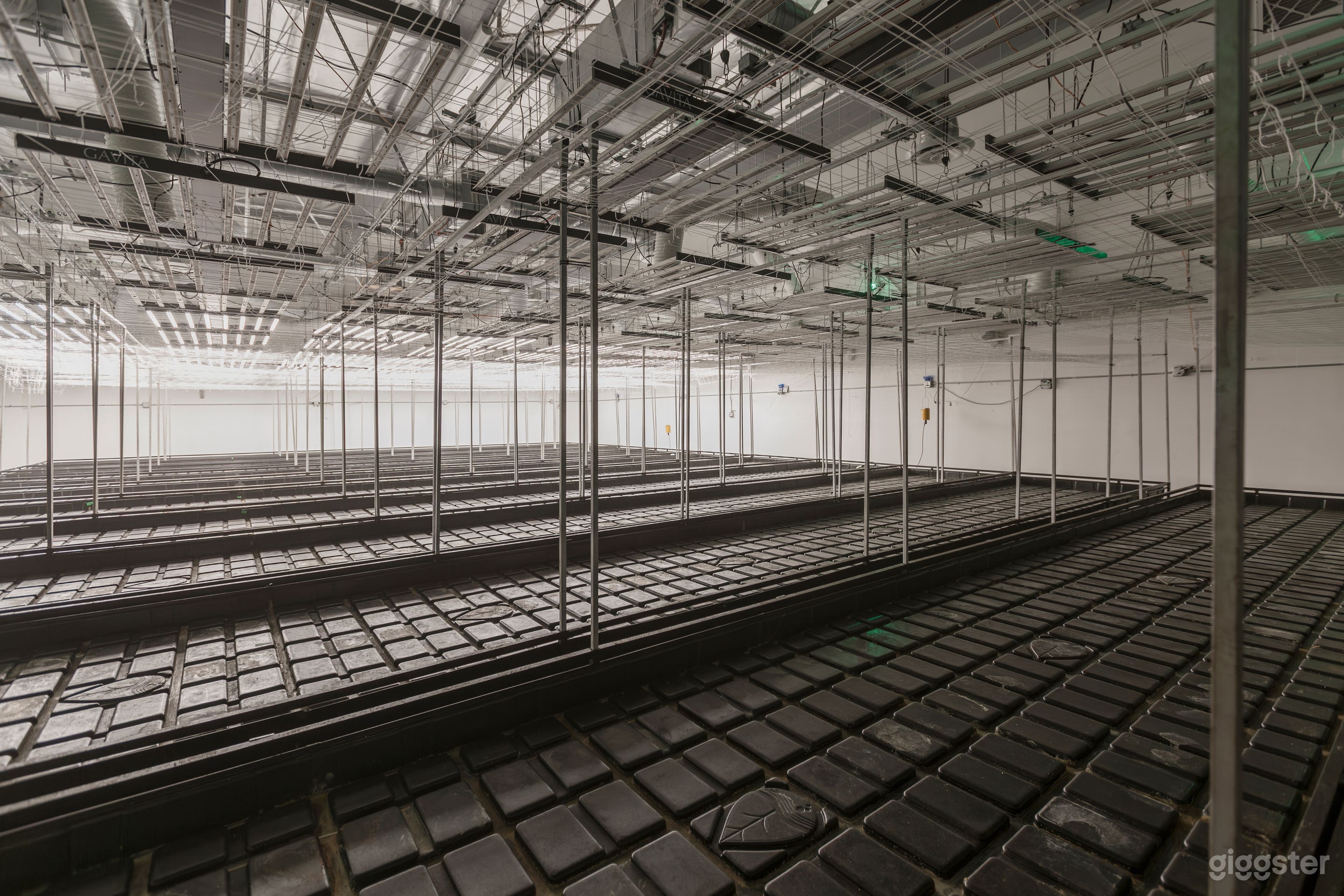 Cannabis Dispensary with offices  Photo 3