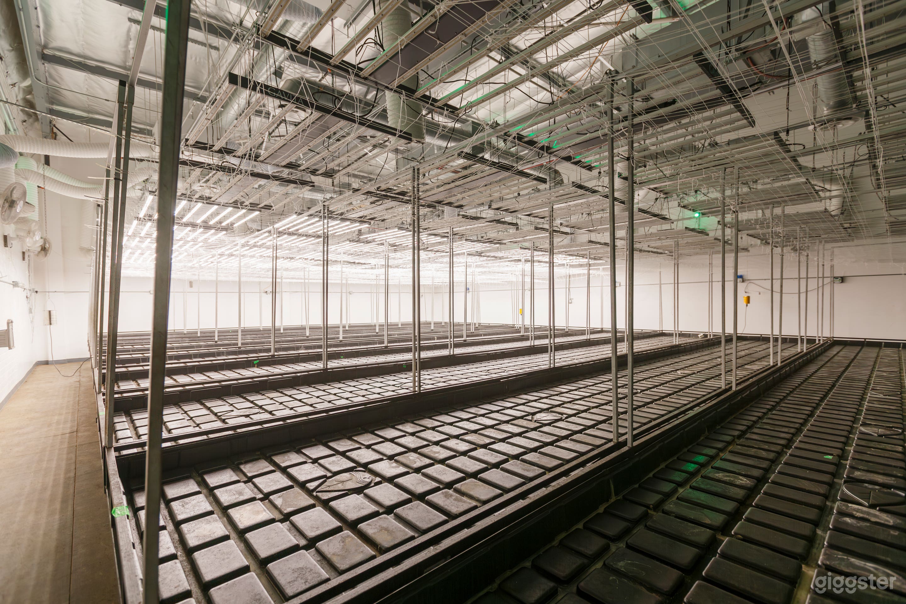 Cannabis Dispensary with offices  Photo 1