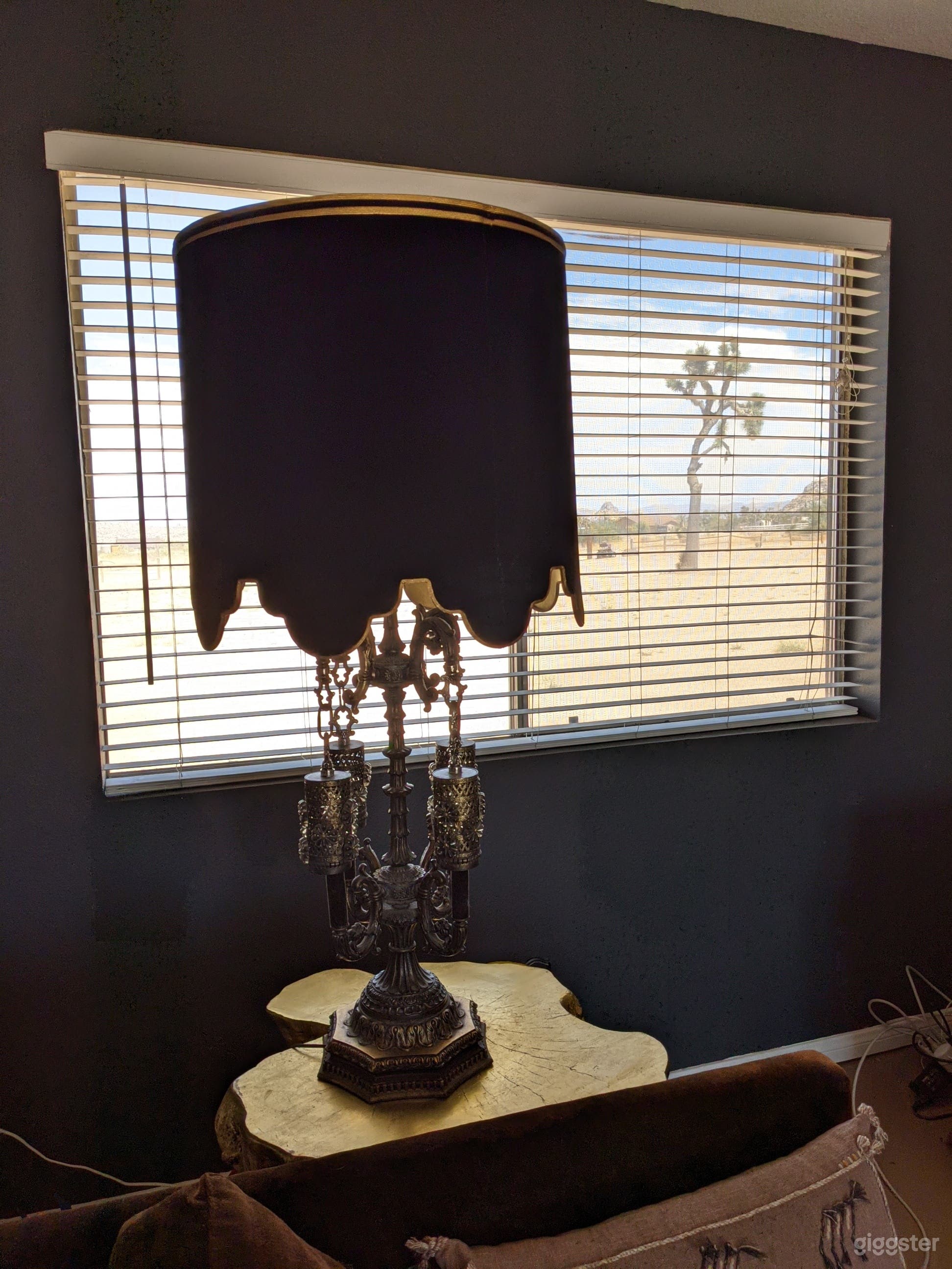 A Gothic Pioneertown Ranch  w/Outdoor Space Photo 3