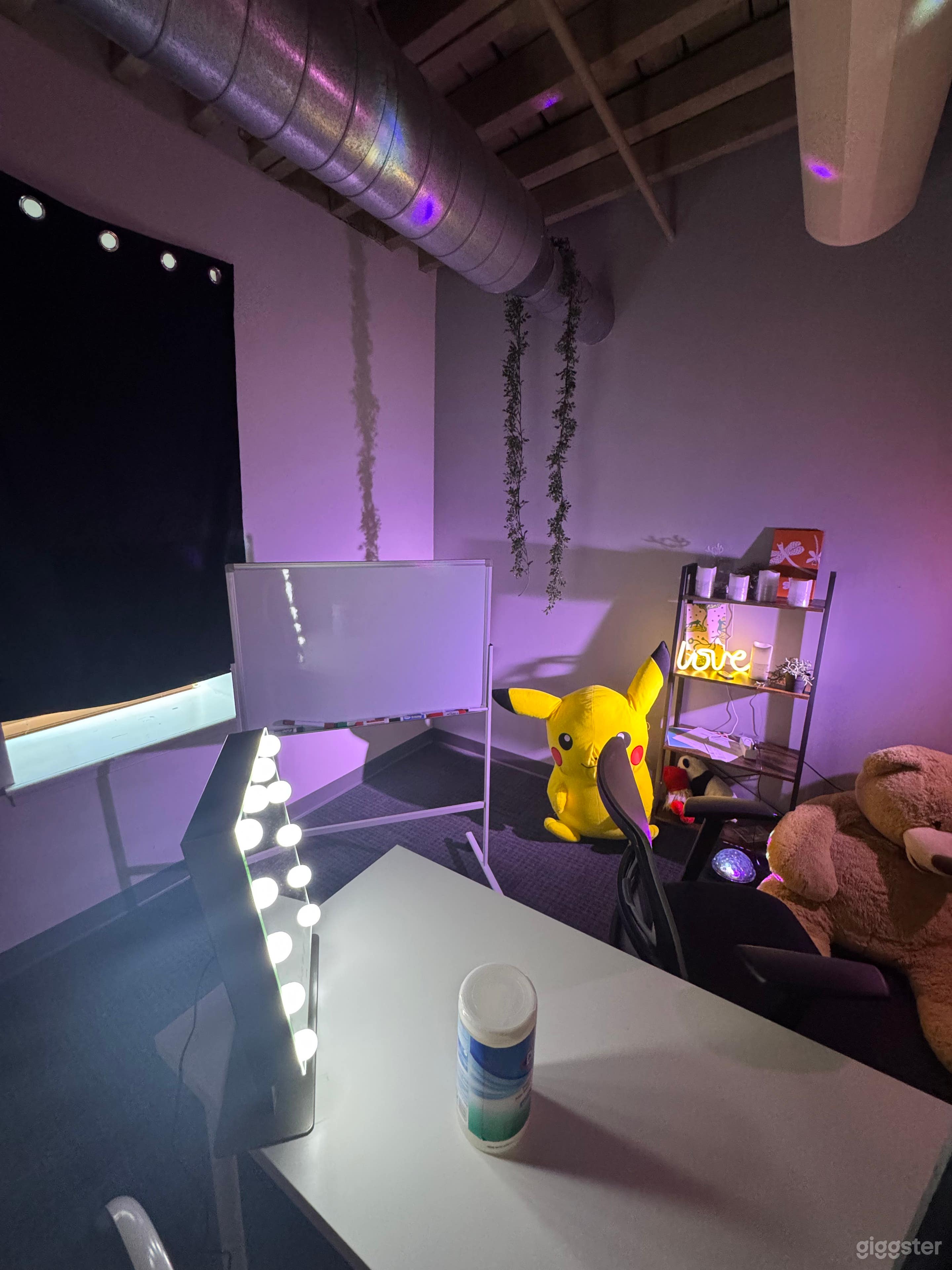 Aesthetic Livestram & Content Creation Studio with Natural L Photo 4