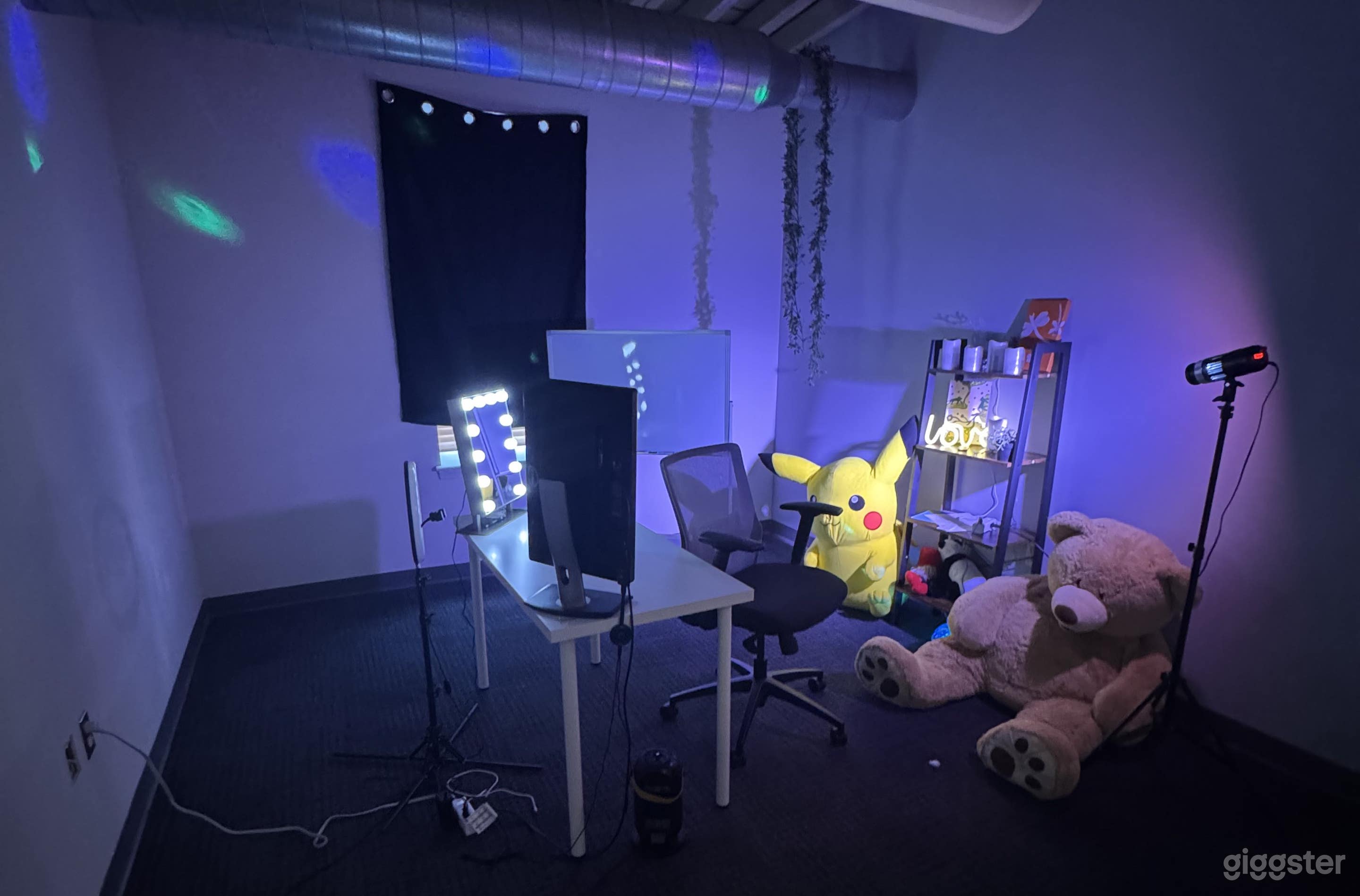 Aesthetic Livestram & Content Creation Studio with Natural L Photo 1