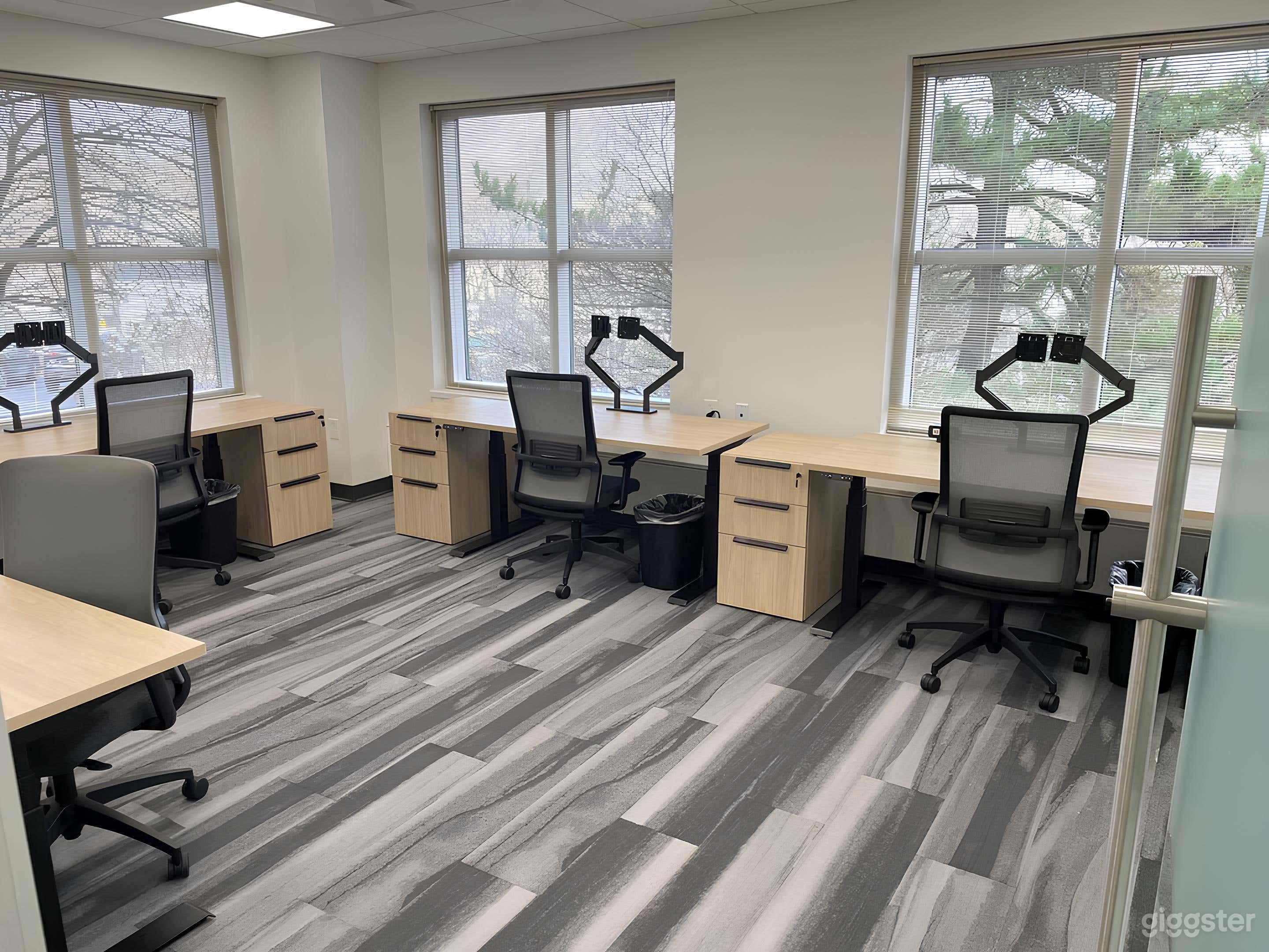 Private Office for Meetings  Photo 2