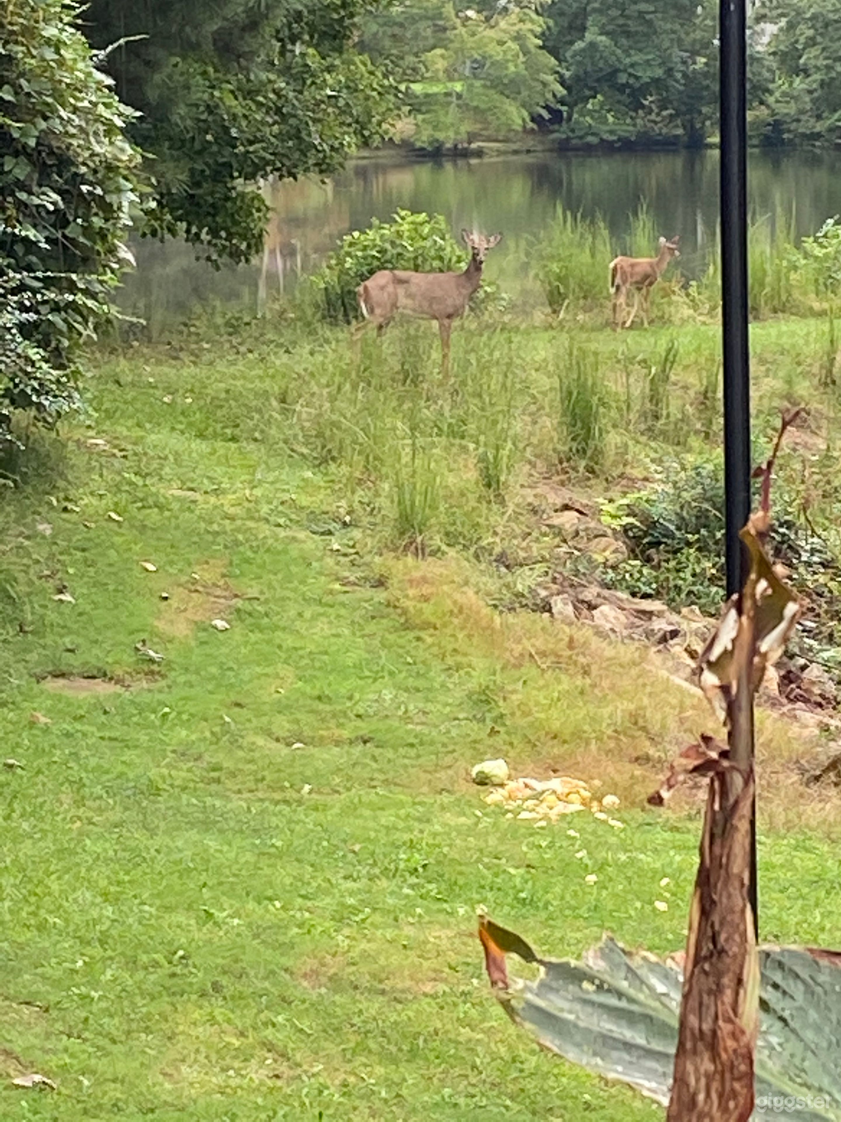 House with pool on lake in Golf community Photo 3