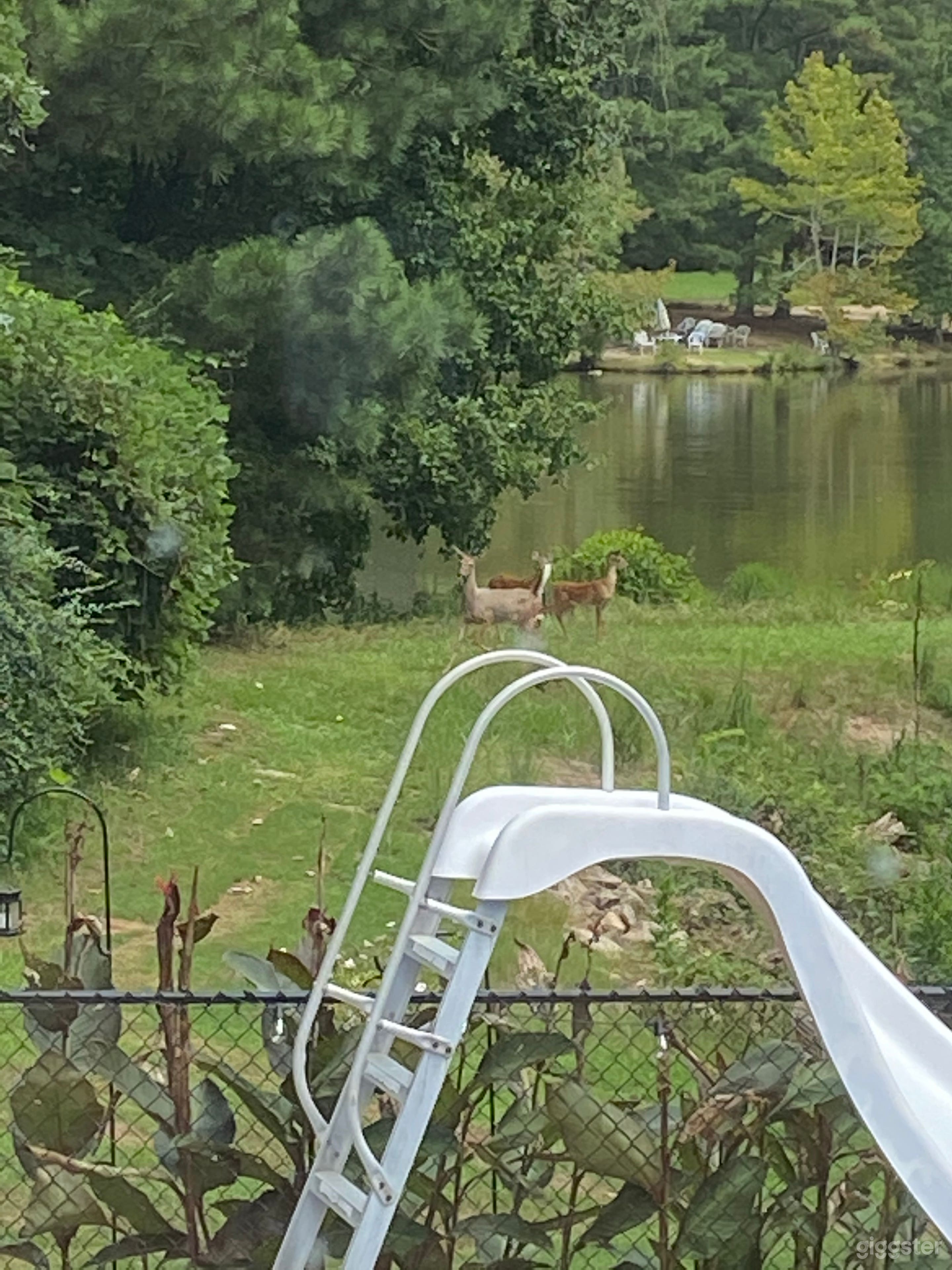 House with pool on lake in Golf community Photo 4