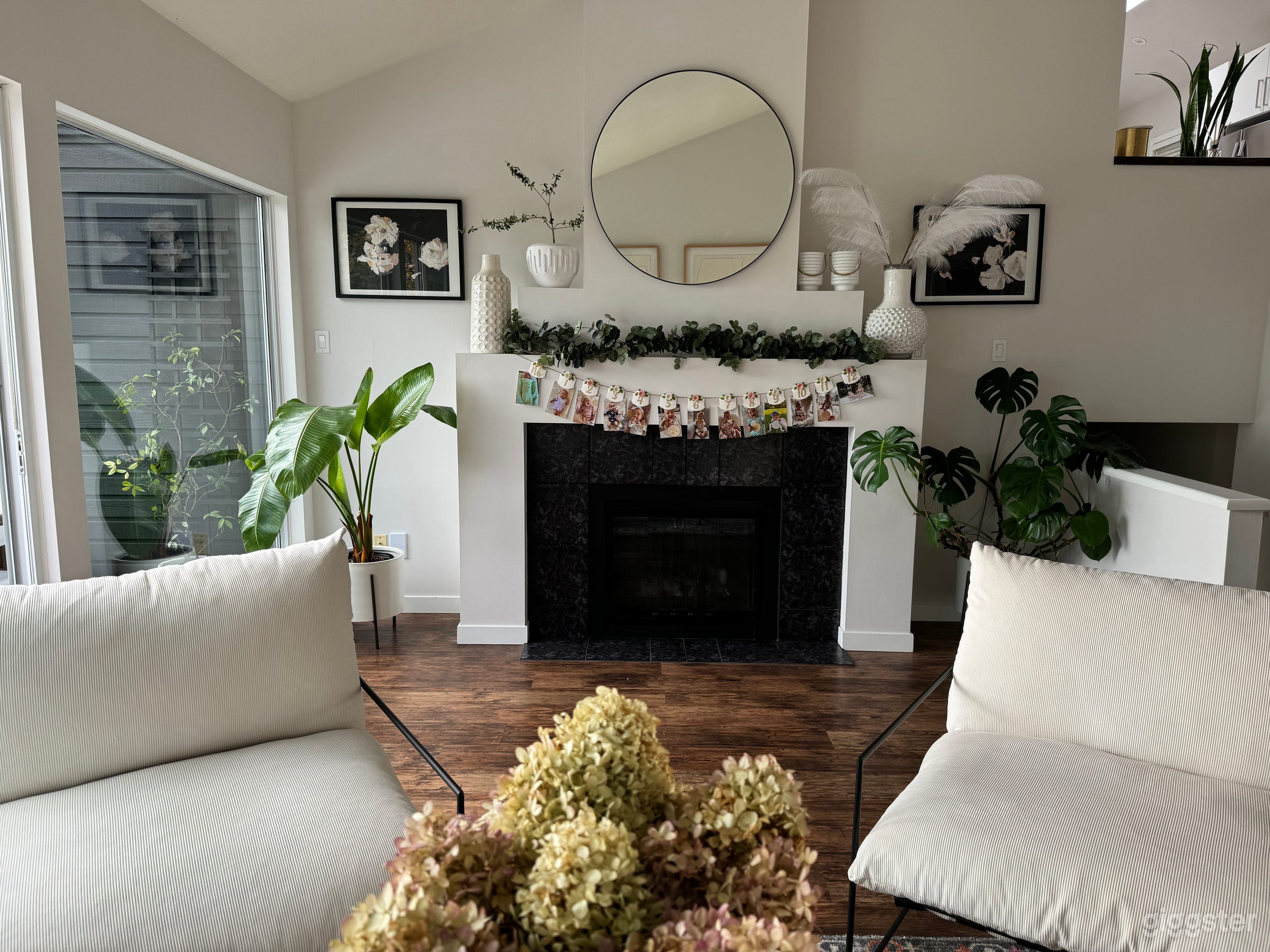 Modern home with spectacular city &amp; harbour views Photo 4