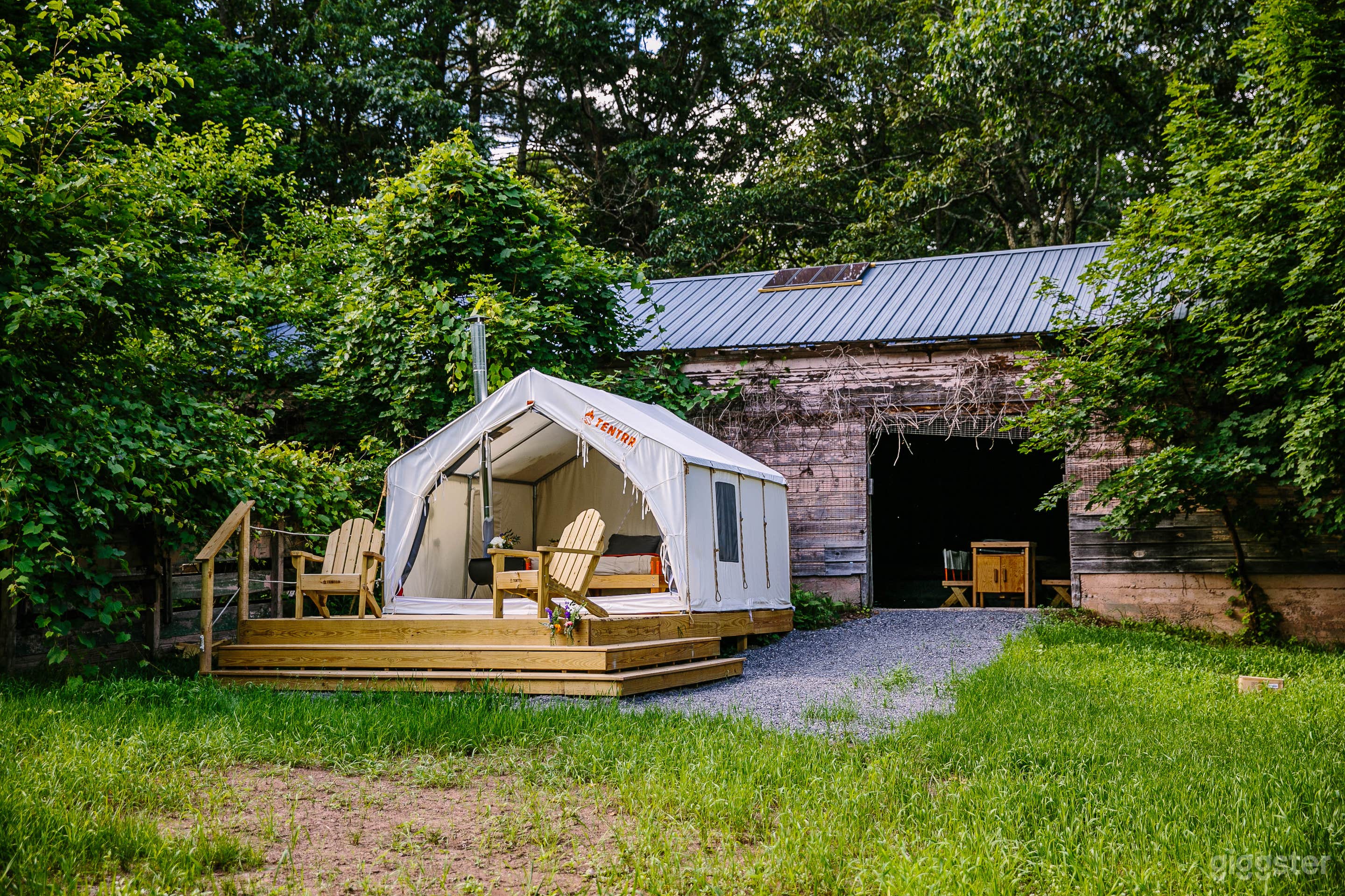 200+ Mountainside Acres of an Abandoned Zoo  Photo 1