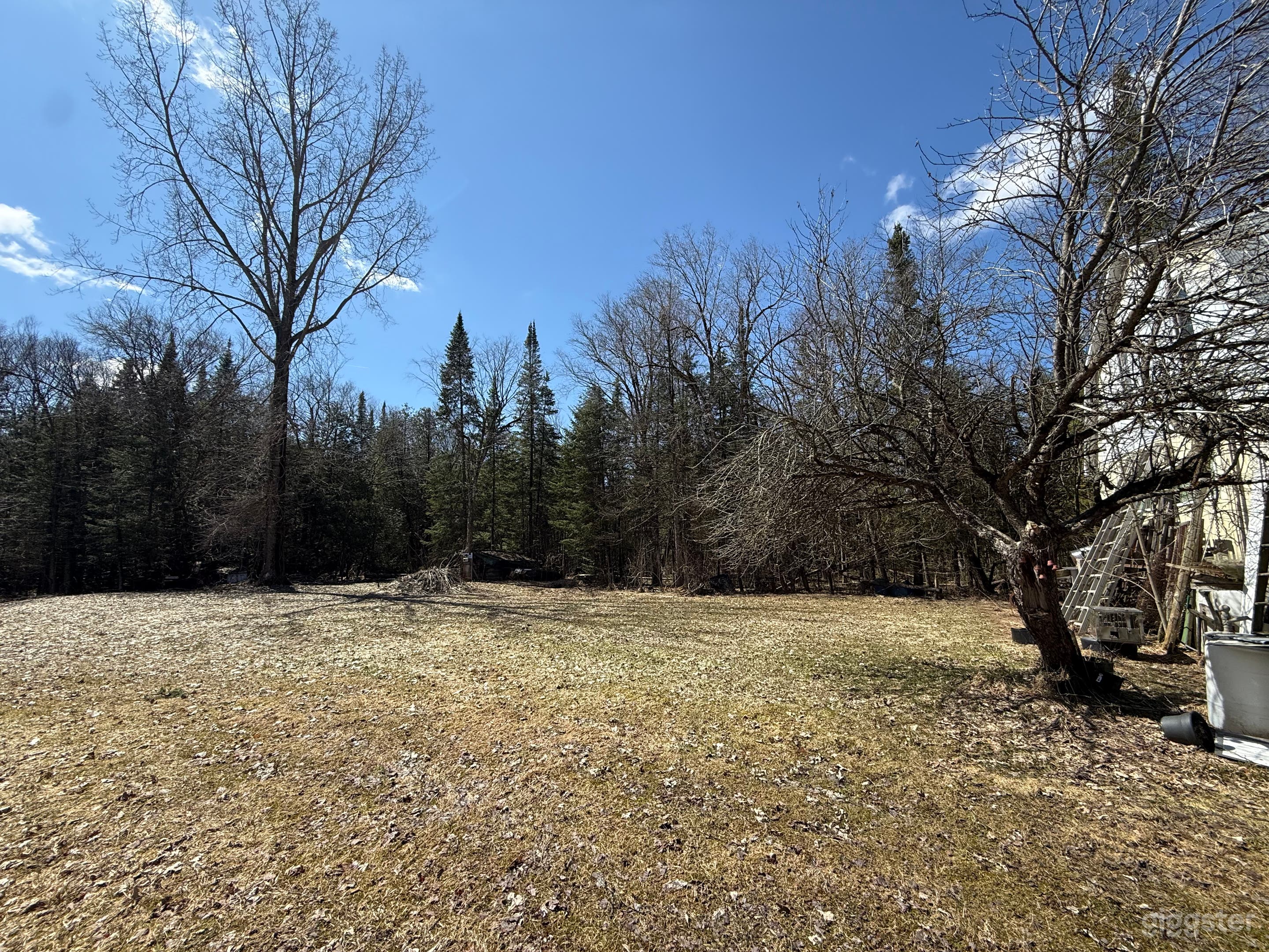 50 acres of woods and open space Photo 2