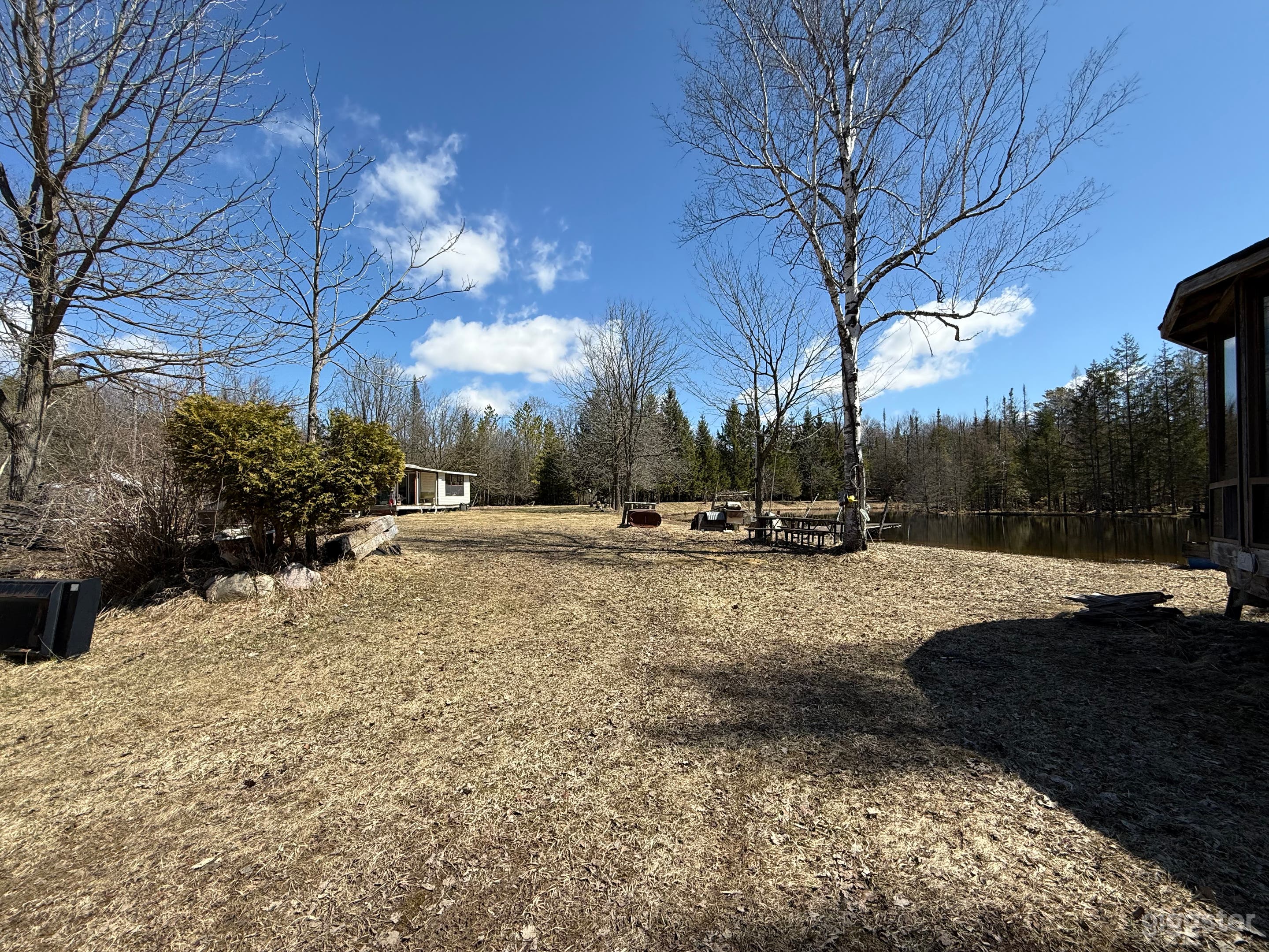 50 acres of woods and open space Photo 1