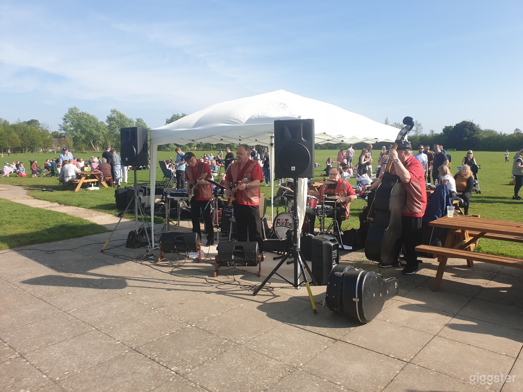 Spacious and Bright Outdoor Garden and Field Photo 3