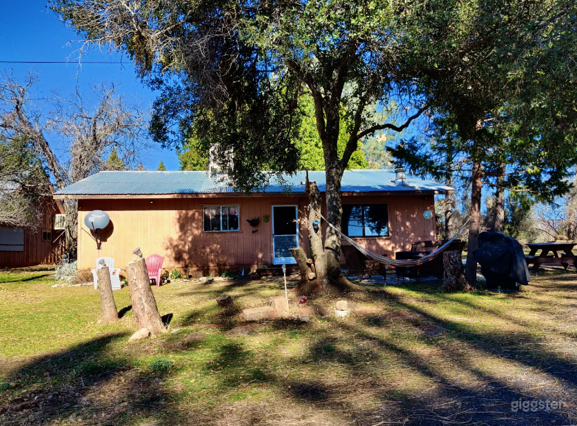 Blue Belly Cabin in Manton Photo 1