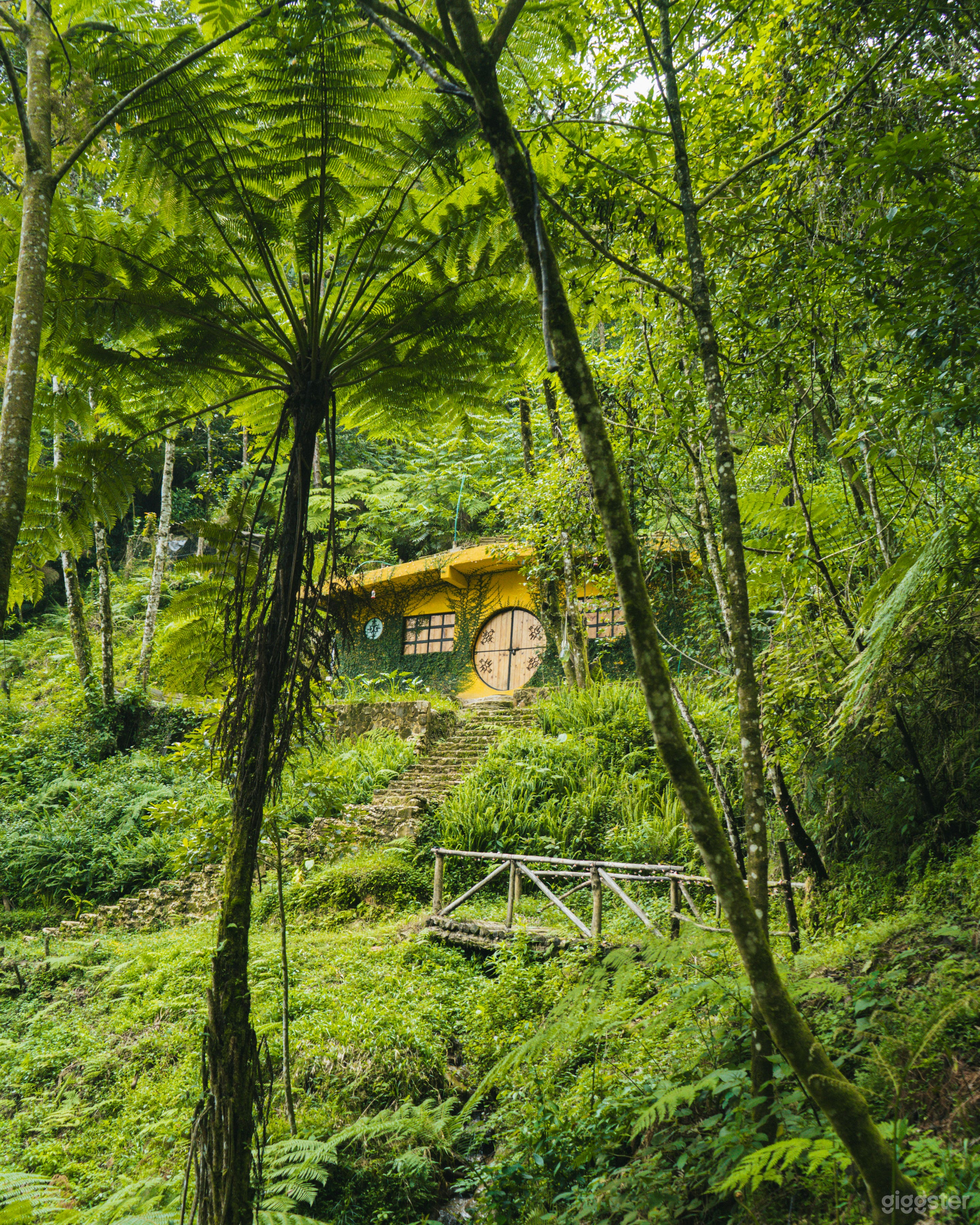 Casa de cuento de hadas con puerta redonda y vista al bosque Foto 1