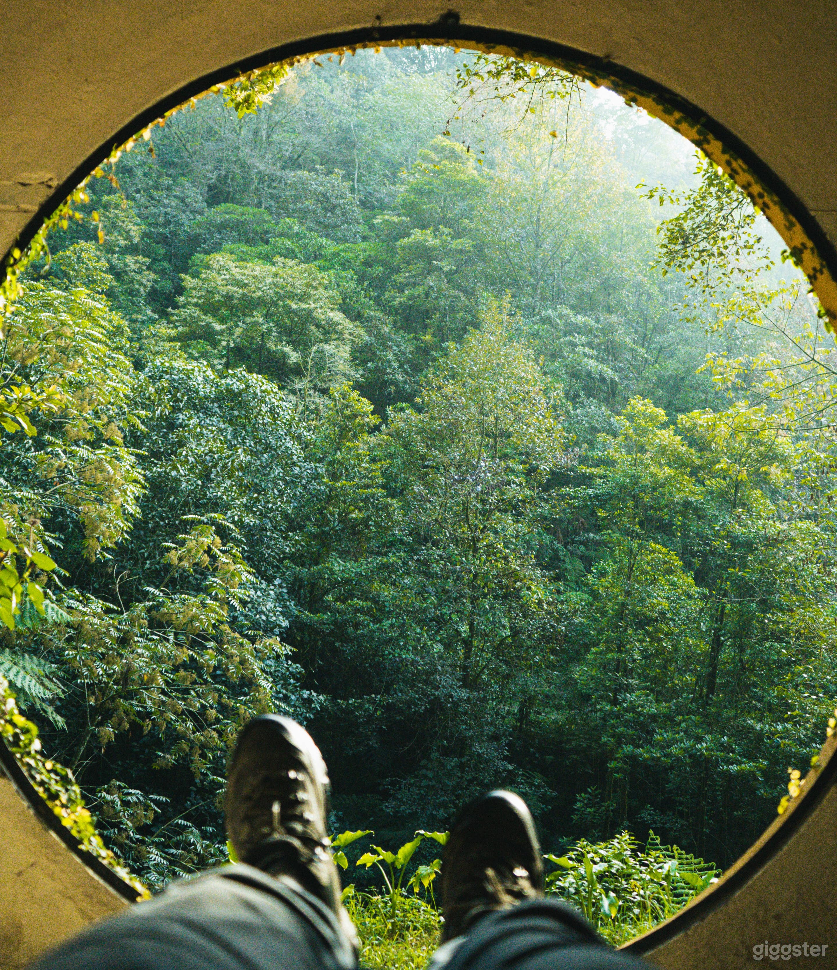 Casa de cuento de hadas con puerta redonda y vista al bosque Foto 3