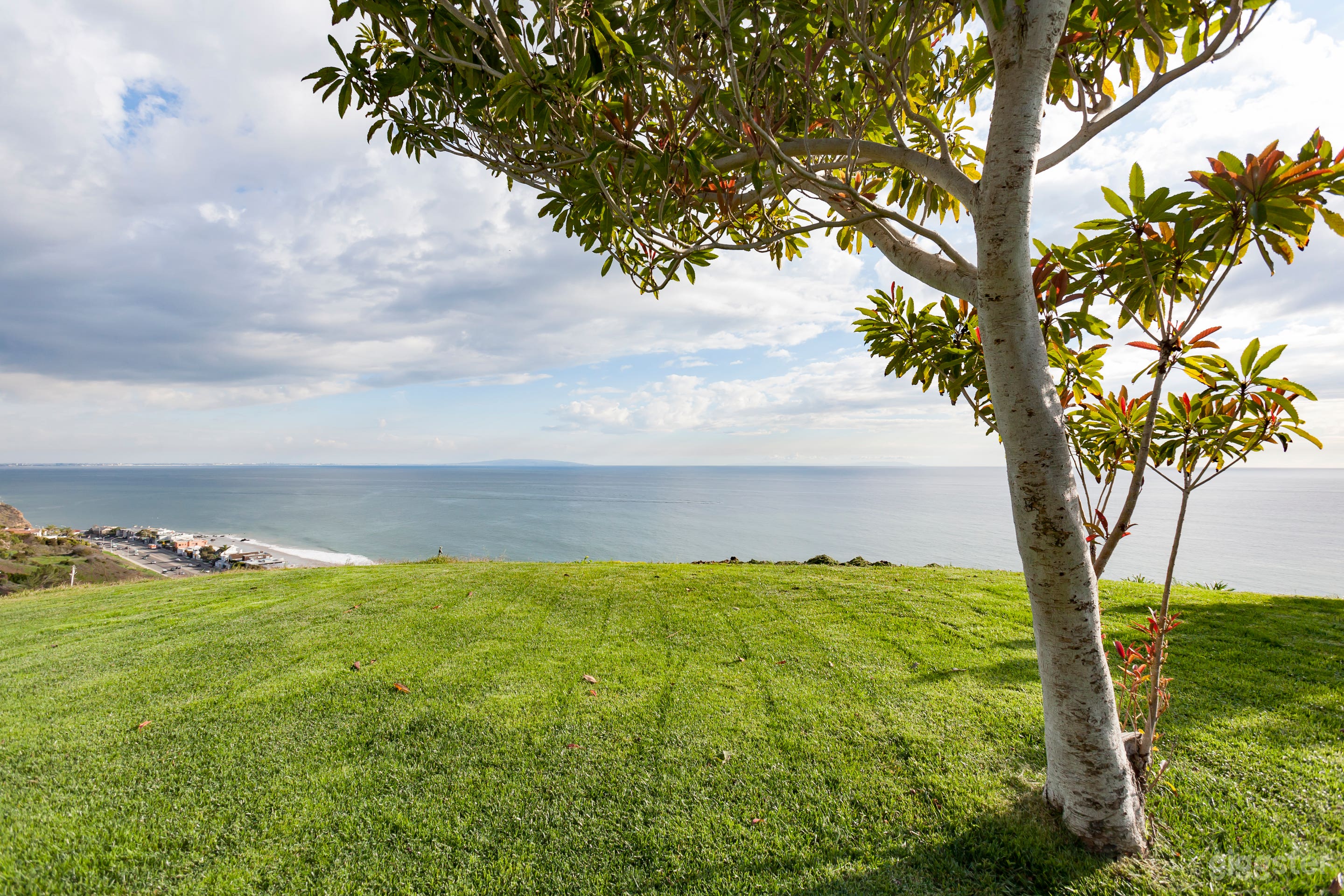 New California 7  Photo 4