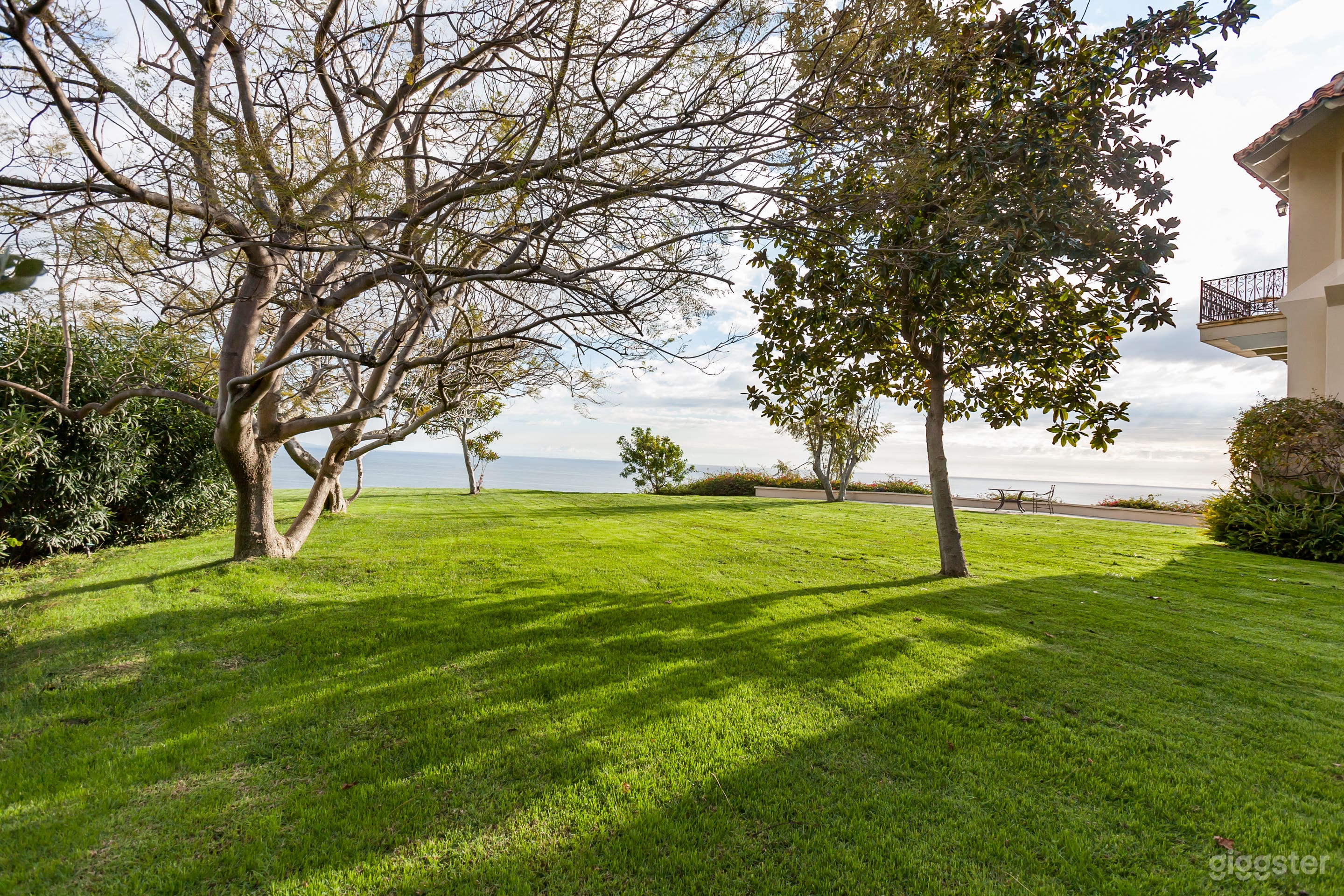 New California 7  Photo 3