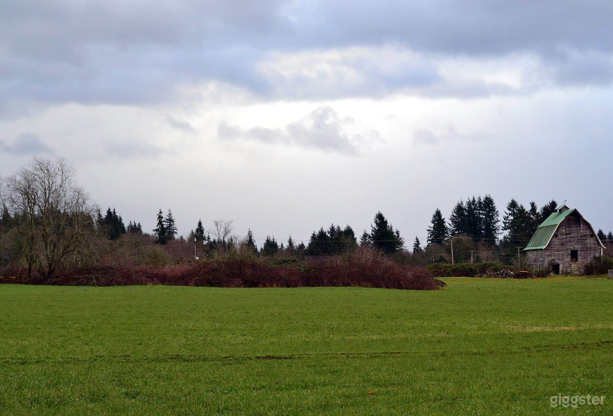 Rustic Barn | Farmland Fields | Woods | 36 Acres   Photo 3