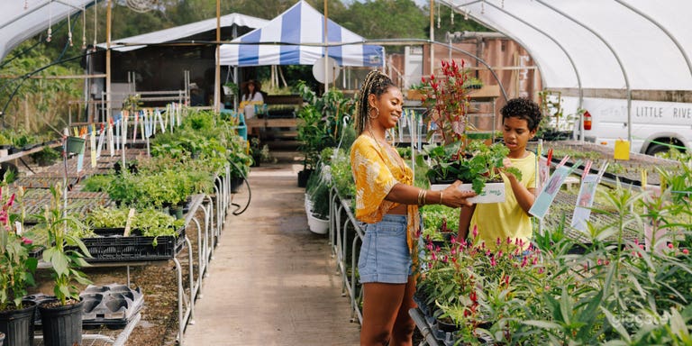  our nursery would make a great location for an outdoor shopping moment.  