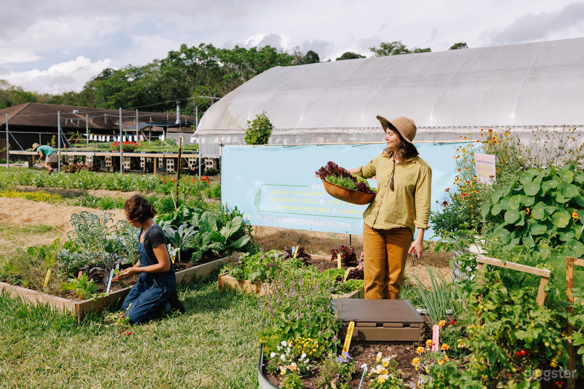 After driving through our gates you are greeted by our "family garden", where visitors can see plants growing in a smaller space more similar to their backyard garden. 