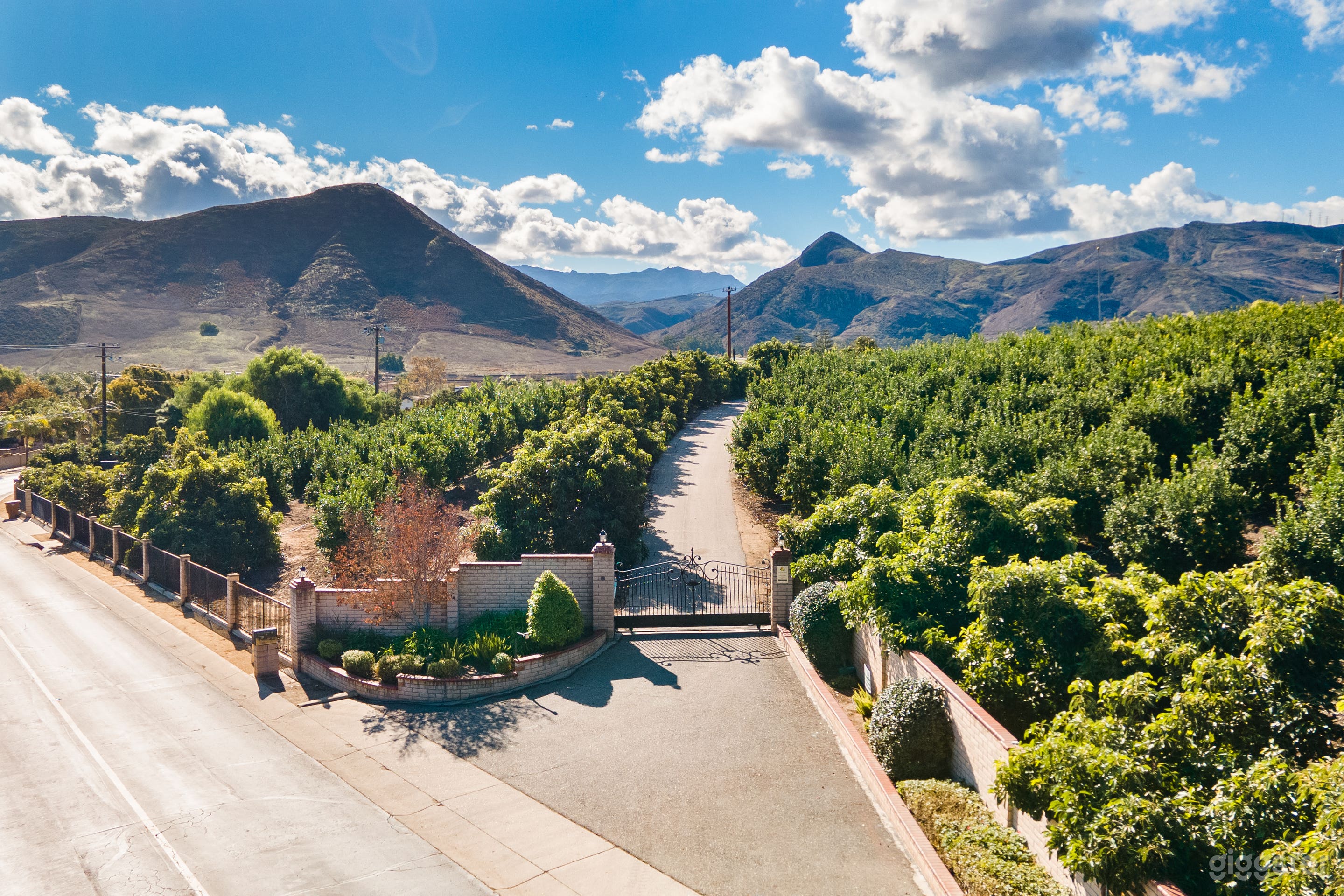 SCENIC VIEW RANCH Photo 3
