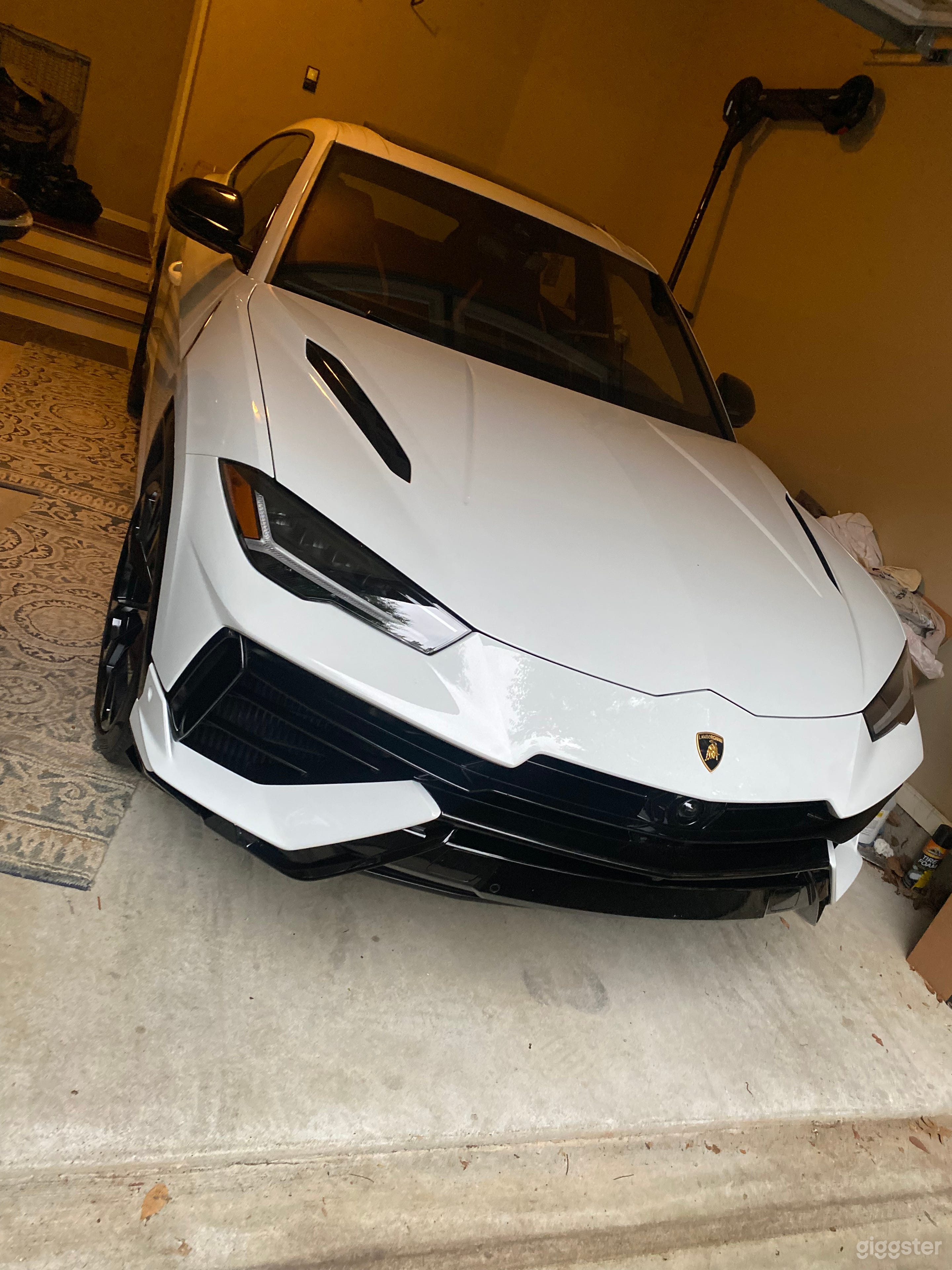 Fully Loaded Lamborghini Urus Photo 2