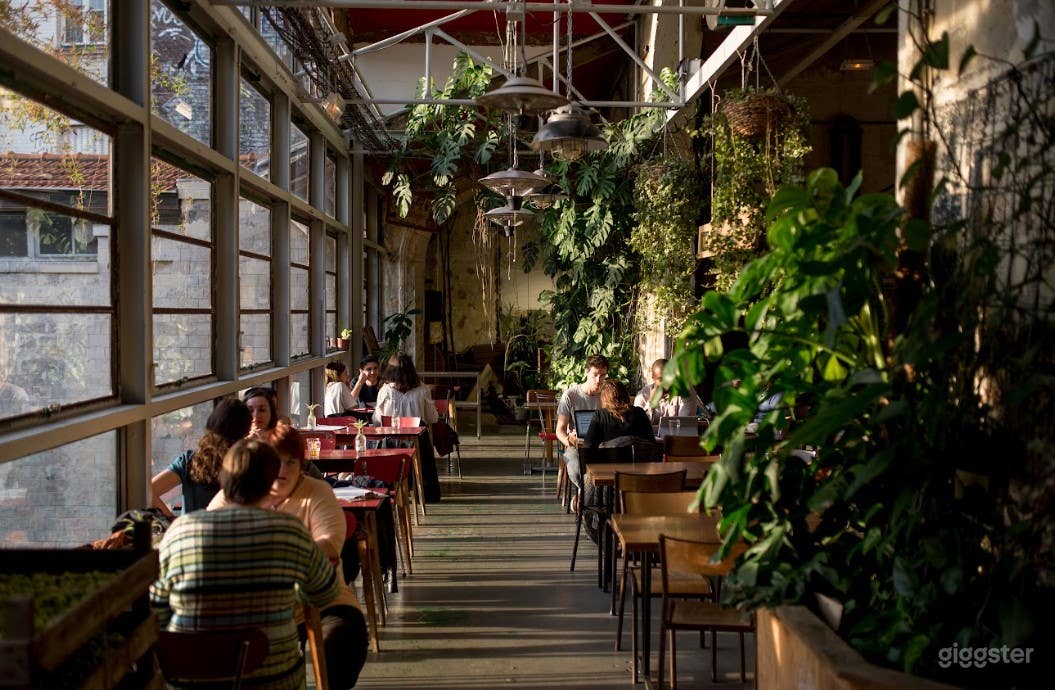 A Lively Vibrant Place (Full Buyout) Photo 3