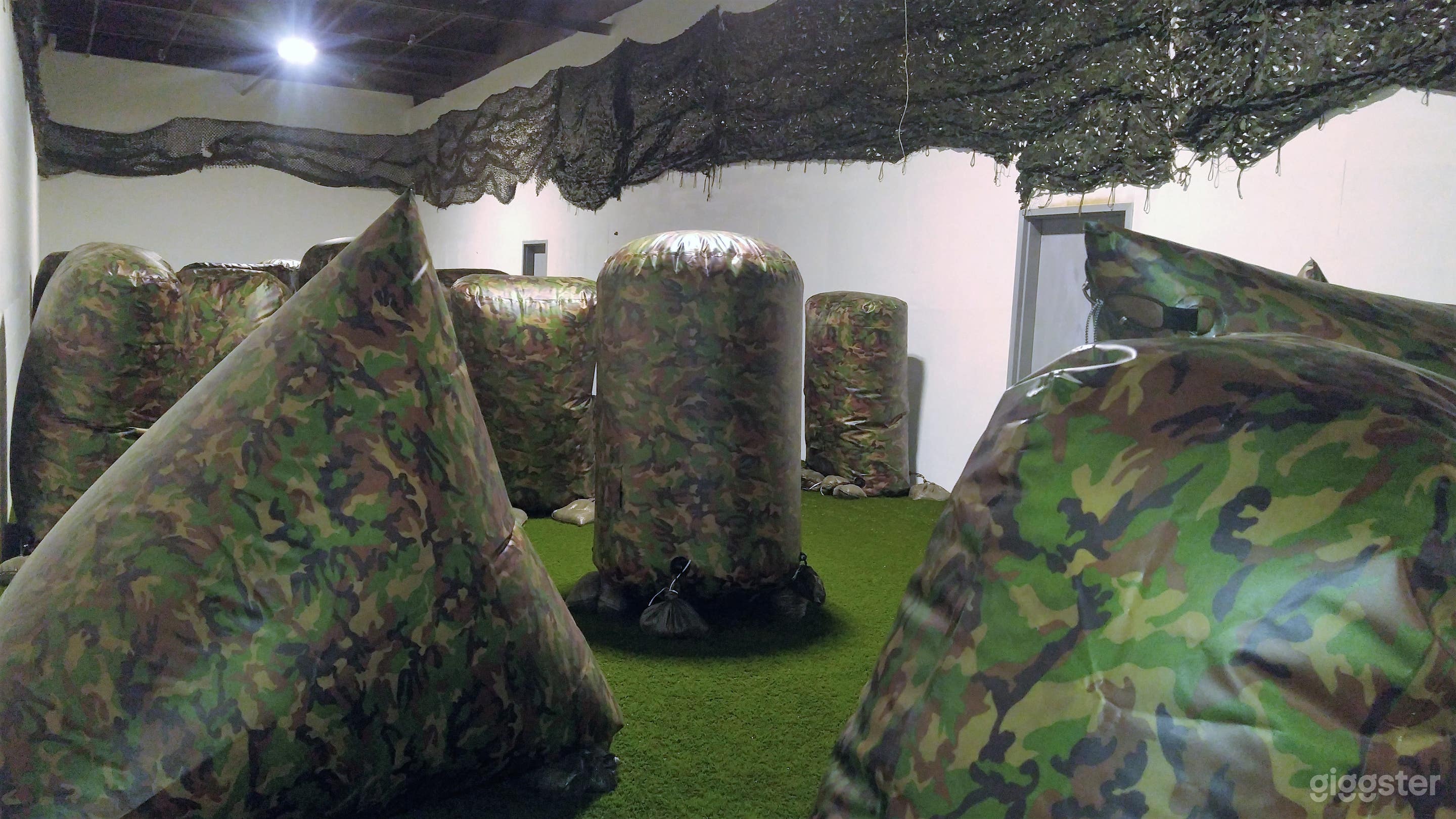 Dodgeball/ Nerf Arena Photo 2