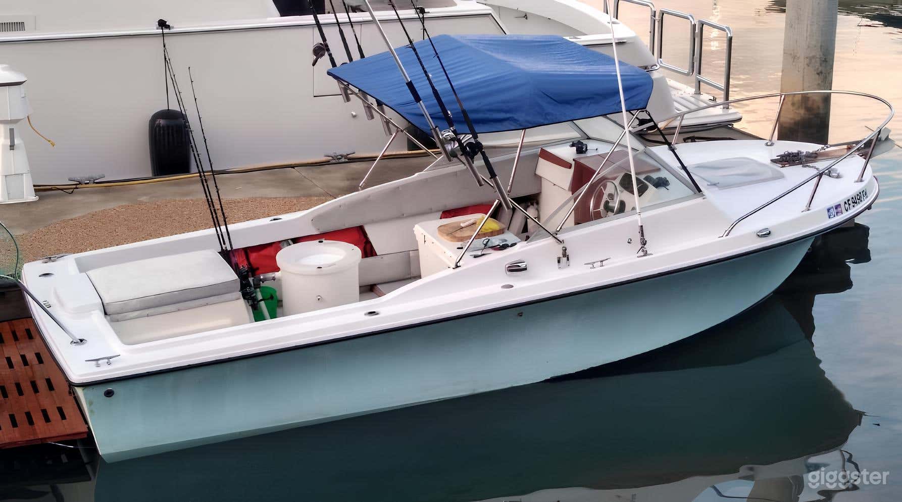 Sea Snipper 24" Skipjack FISHING CHARTER Photo 2