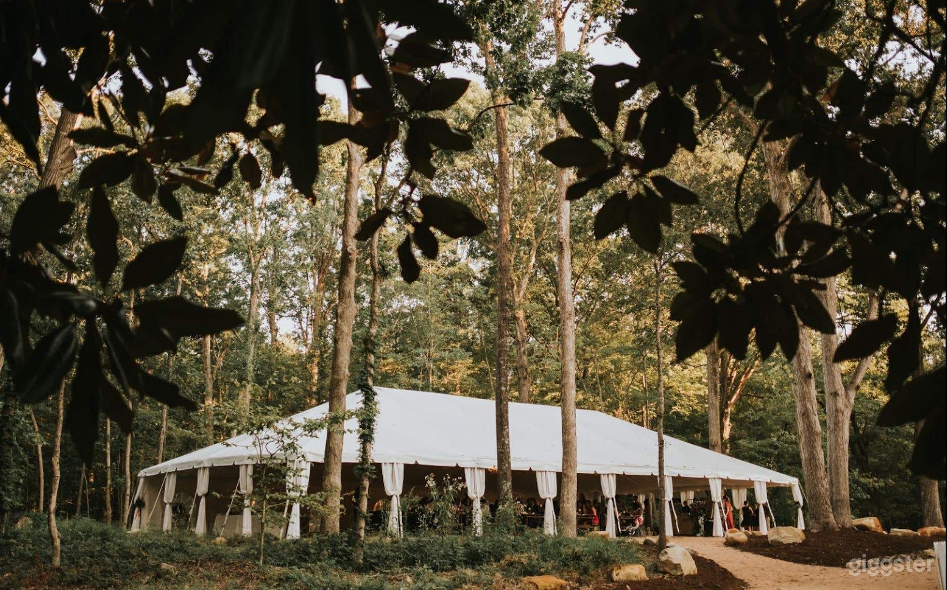 Historic Remodeled Farmhouse on 10 acres of Oaks Photo 4